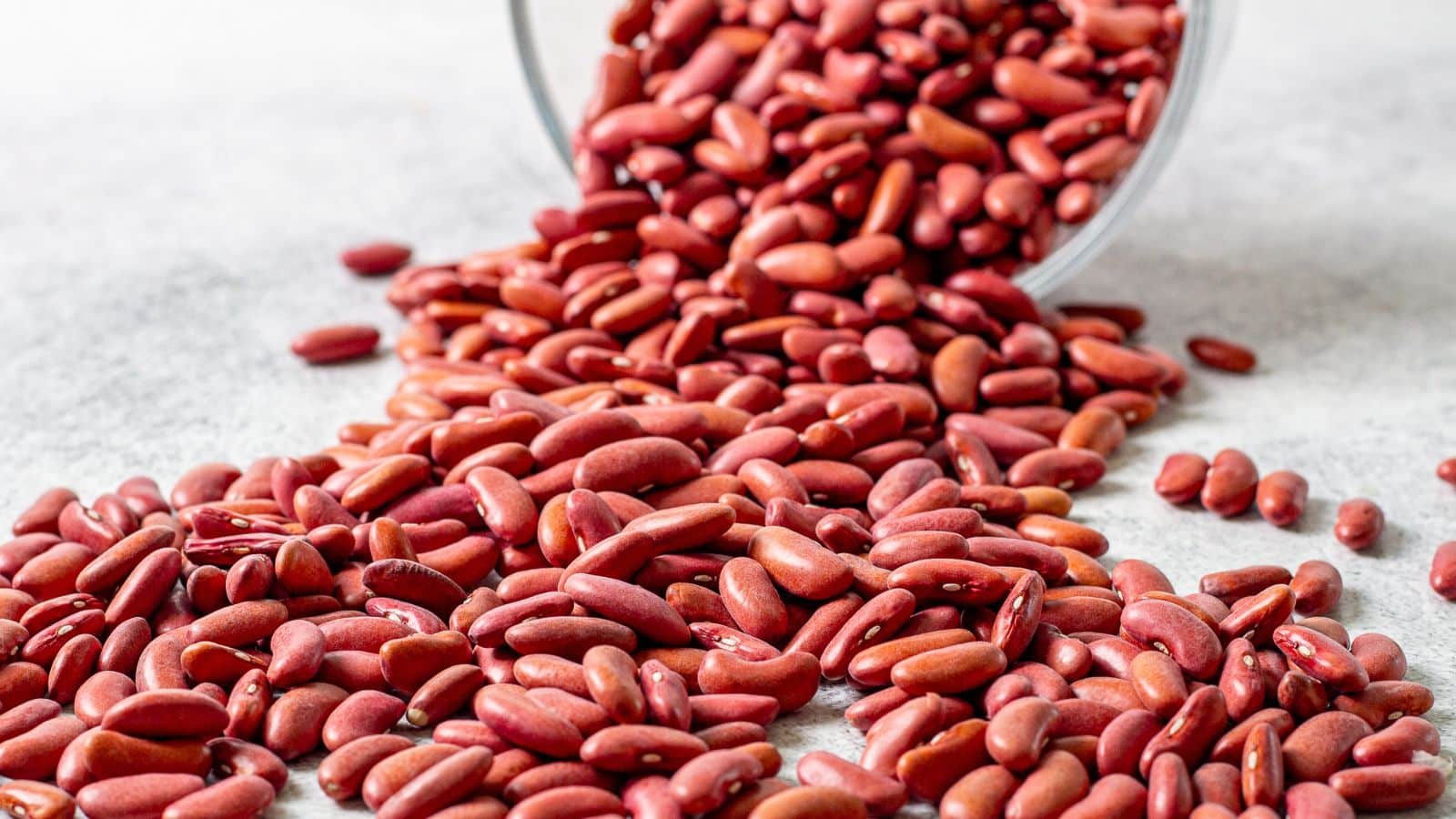 1600x900 Most Popular Beans: How to Sort, Soak, and Cook Tree Kitchen