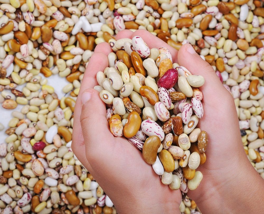 1000x813 How to Cook Beans. Dried
