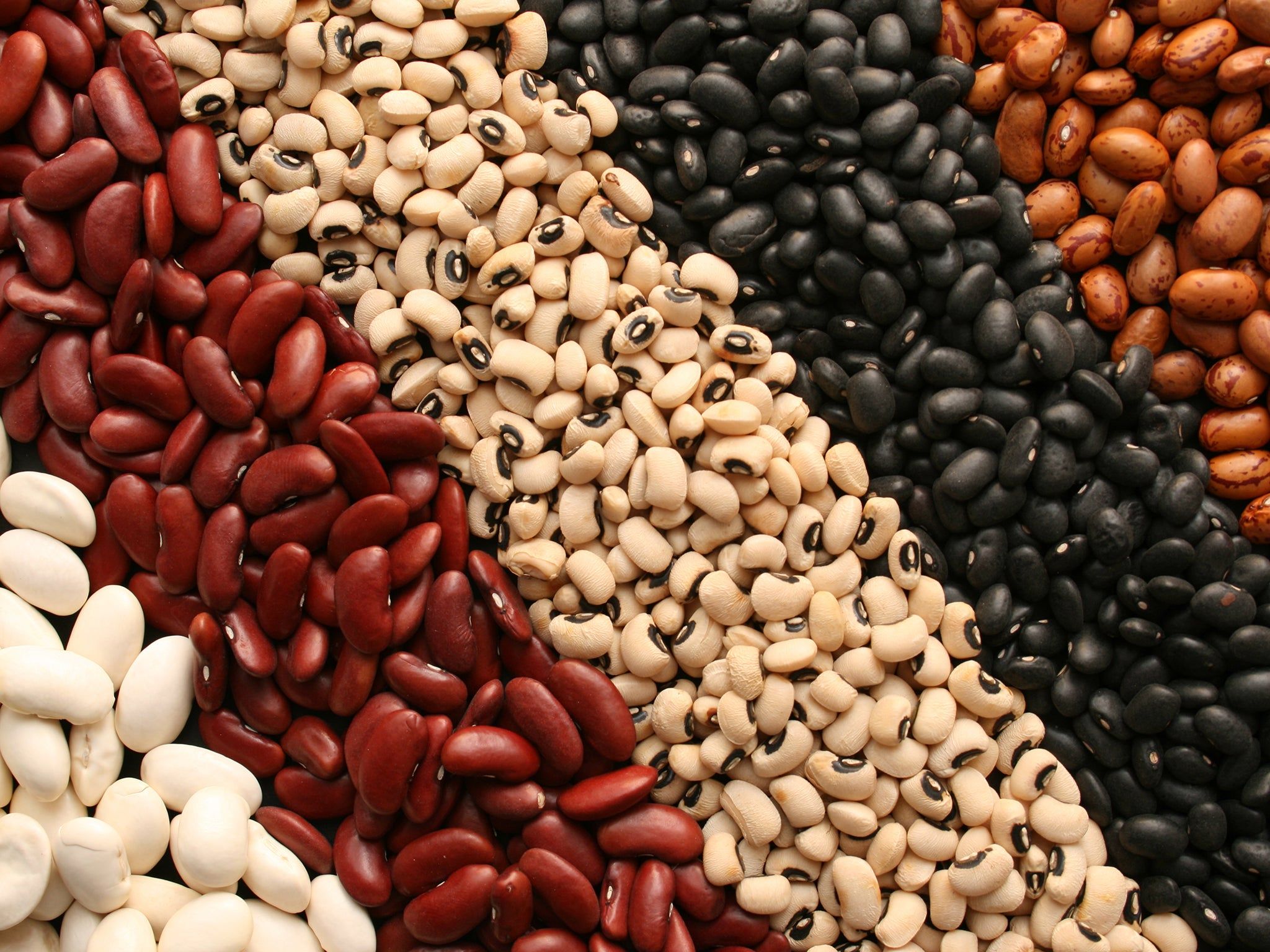 2048x1536 How to prepare, cook and store dried beans