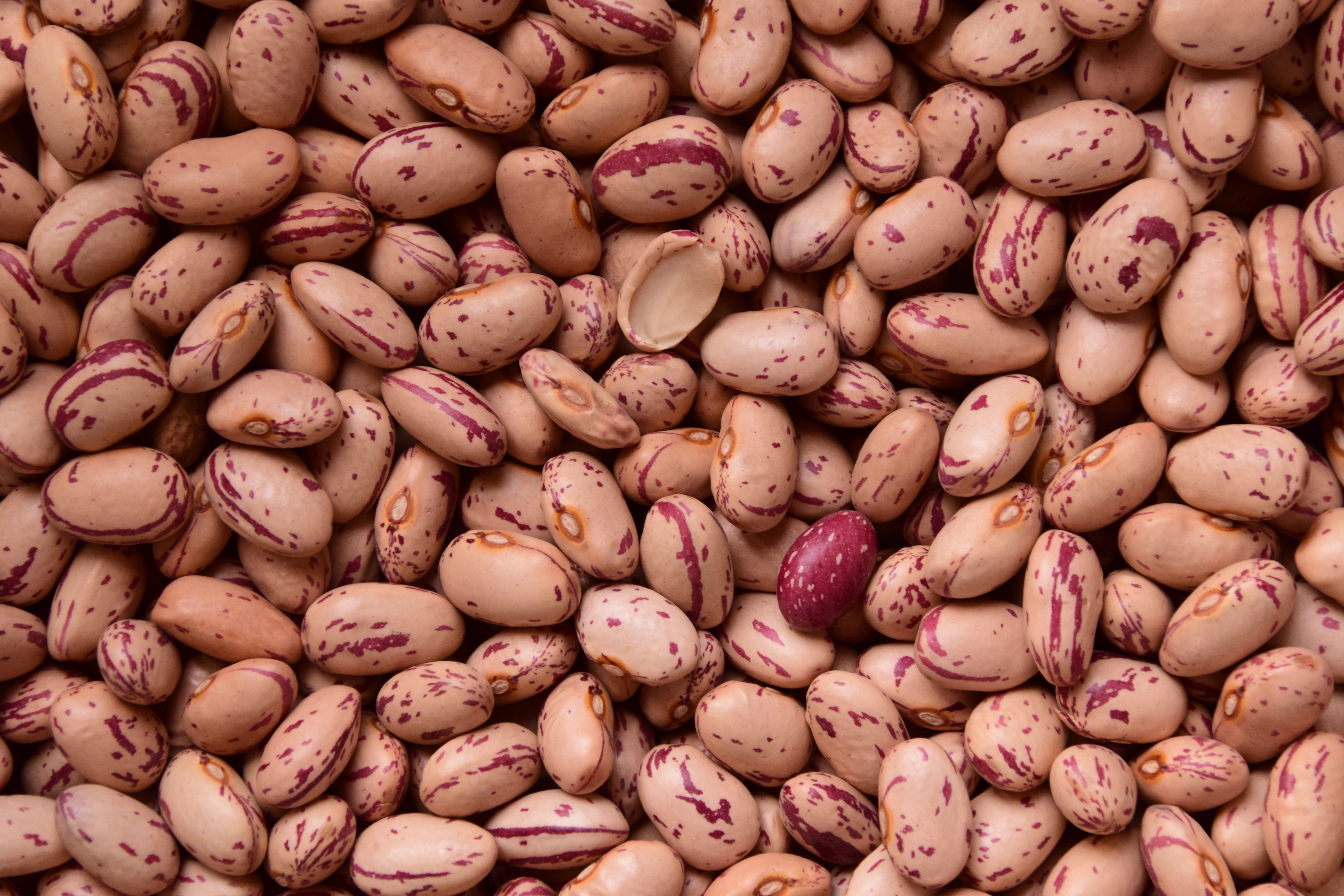 6000x4000 Download Beans Food Bean 4k Ultra HD Wallpaperx4000