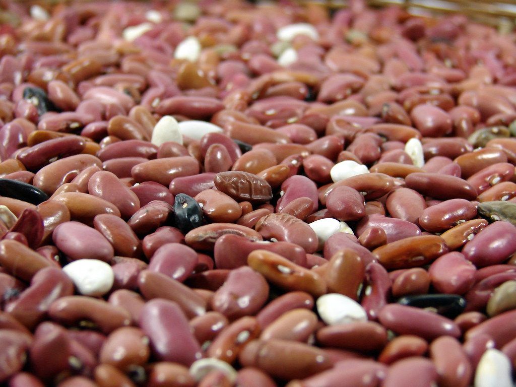 1024x768 Dried Beans