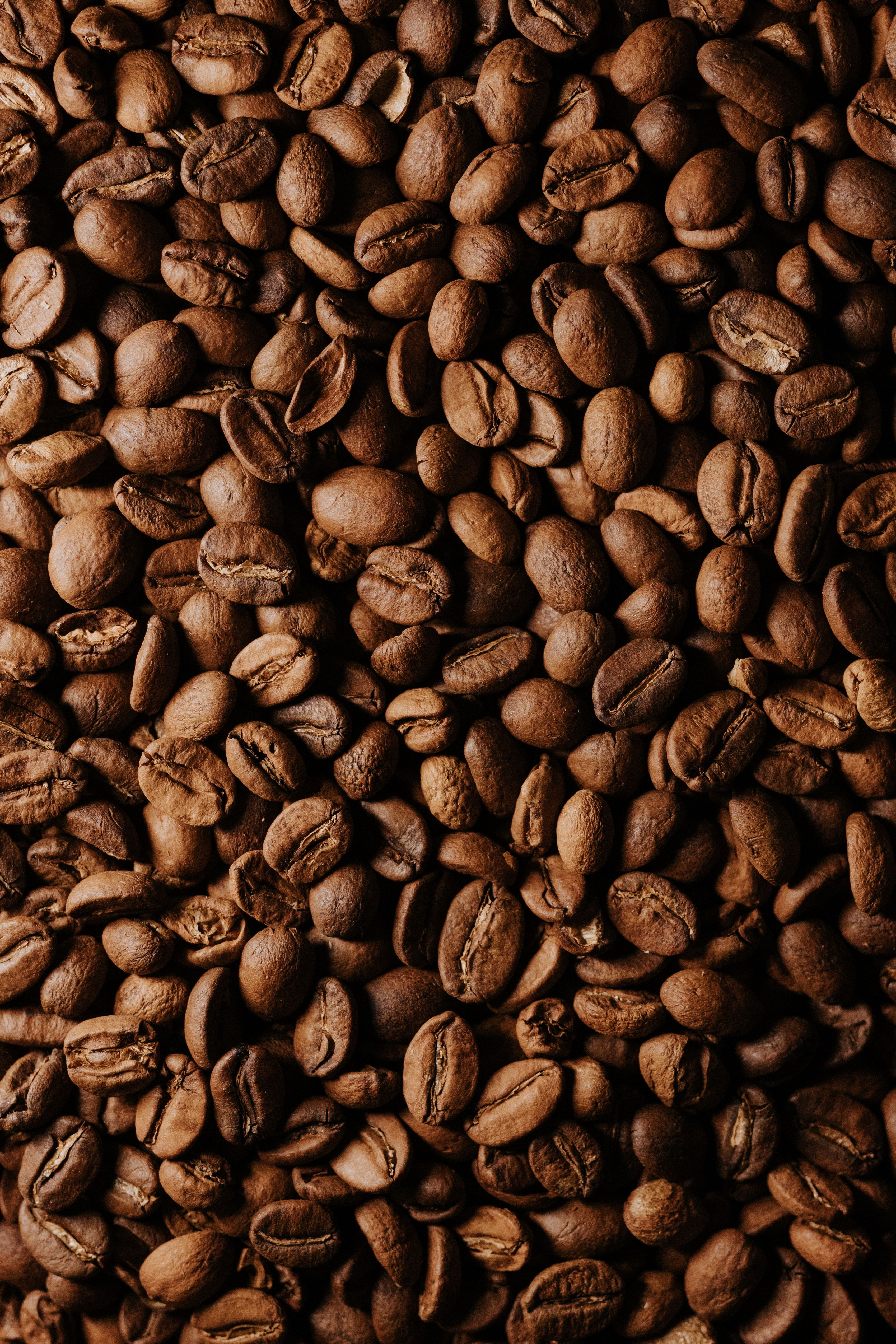 3392x5088 Rich Coffee Beans with Rustic Texture · Free