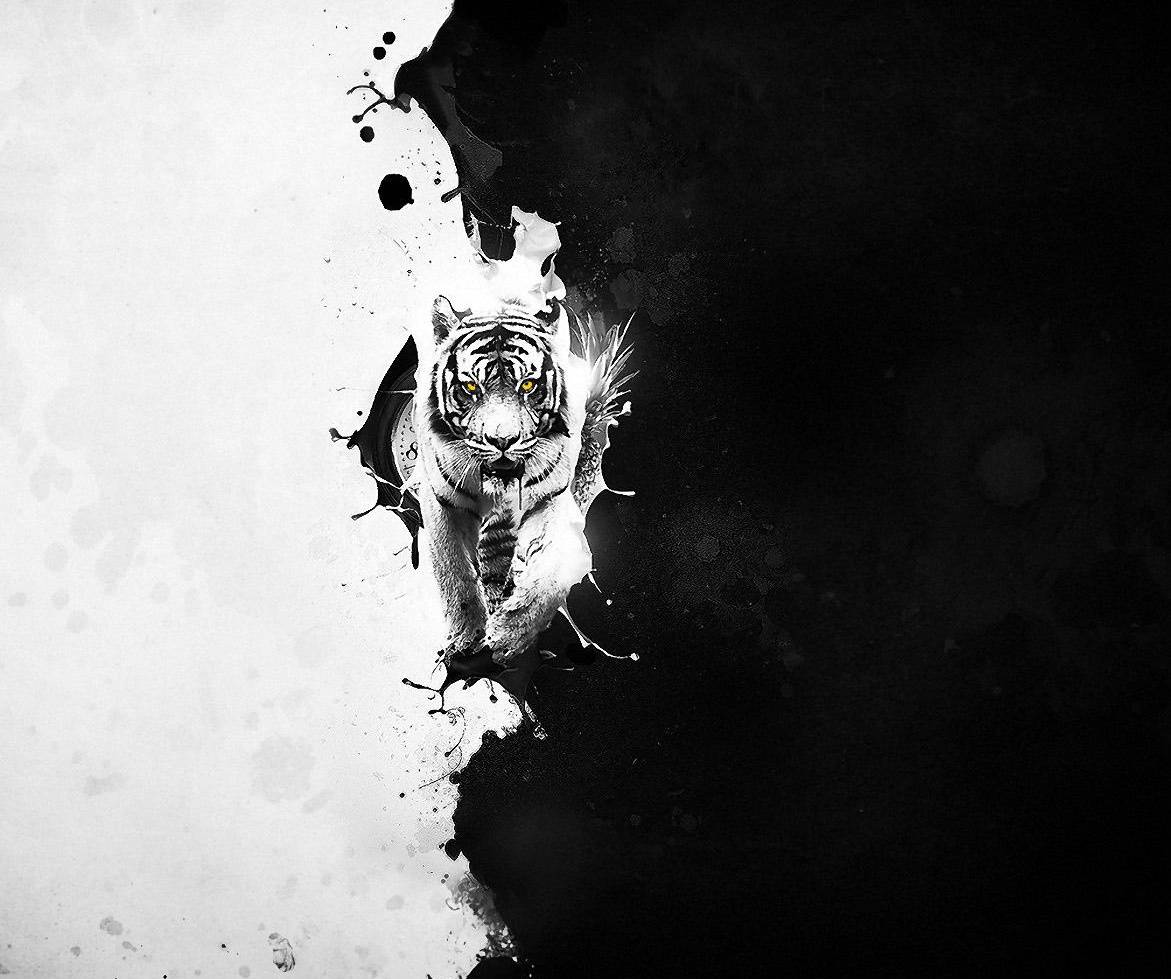 1171x979 Black an white tiger wallpaper