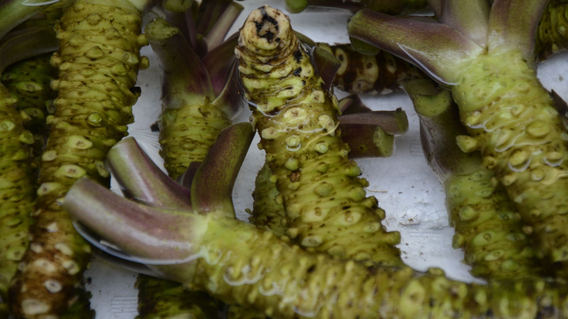 1920x1080 Surprising Health Benefits of Wasabi
