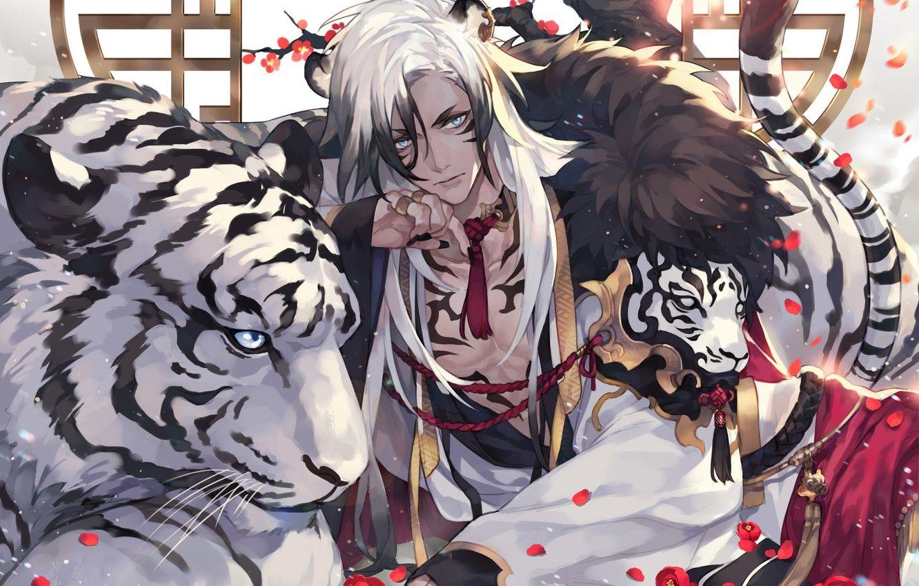 1332x850 Wallpaper tiger, guy, white tiger image for desktop, section арт
