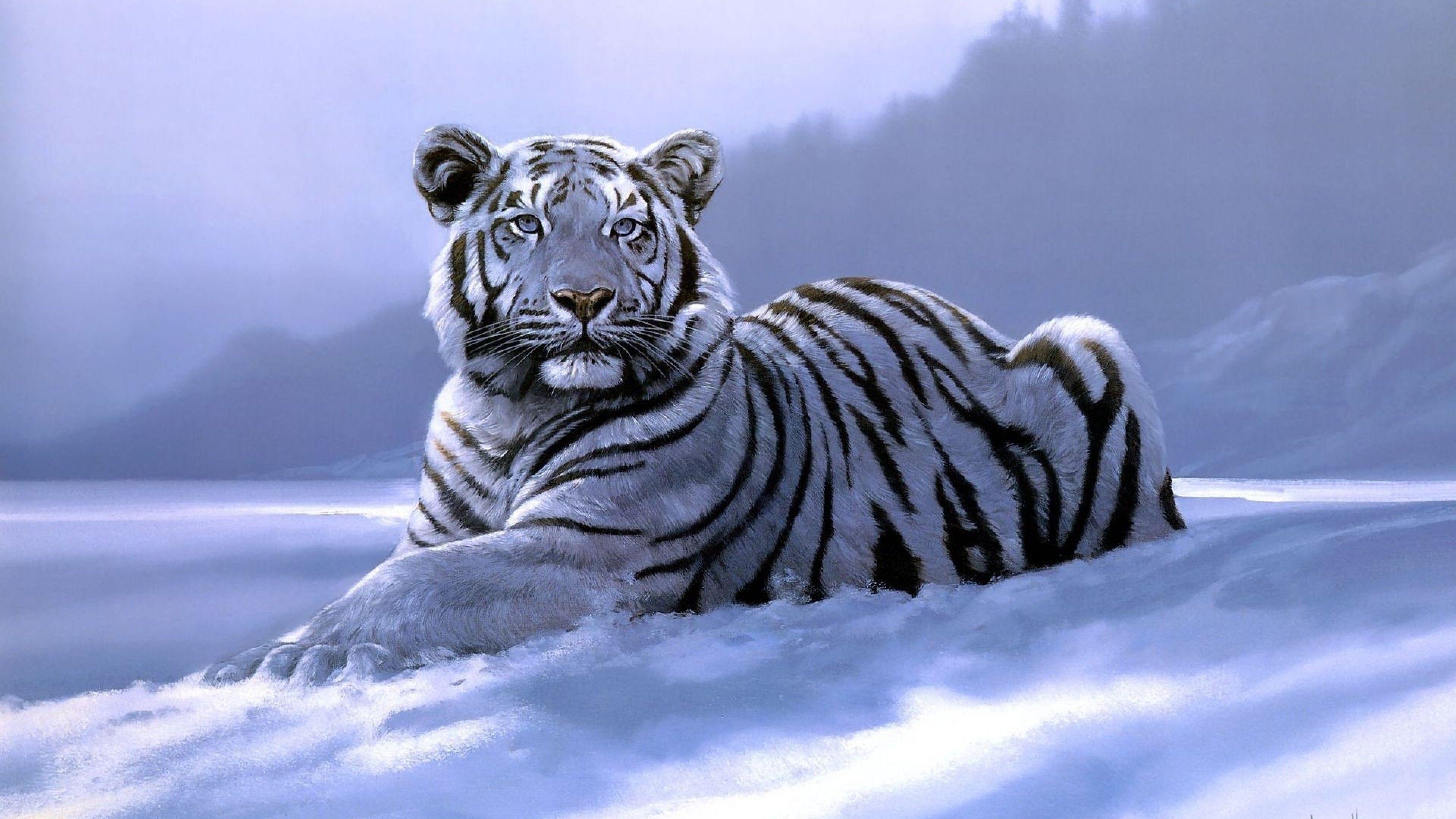 3840x2160 Download 3840x2160 White Tiger, Lying Down, Snow, Digital Art, Predator Wallpaper for UHD TV
