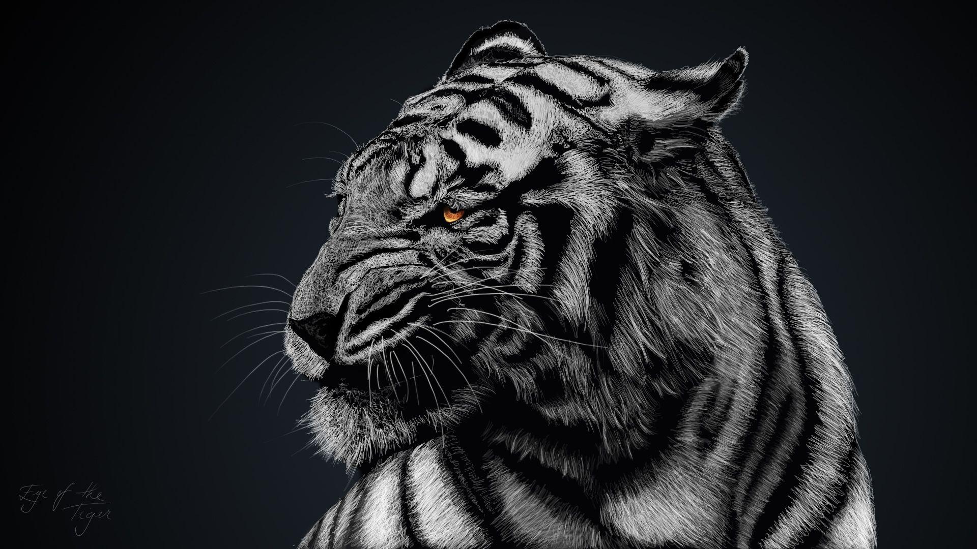 1920x1080 White Tiger HD Wallpaper