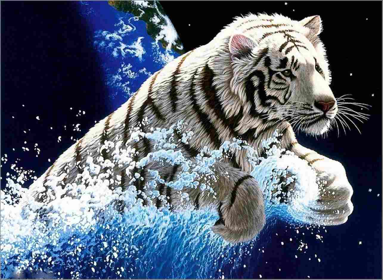 1285x940 Free White Tiger Wallpaper Download