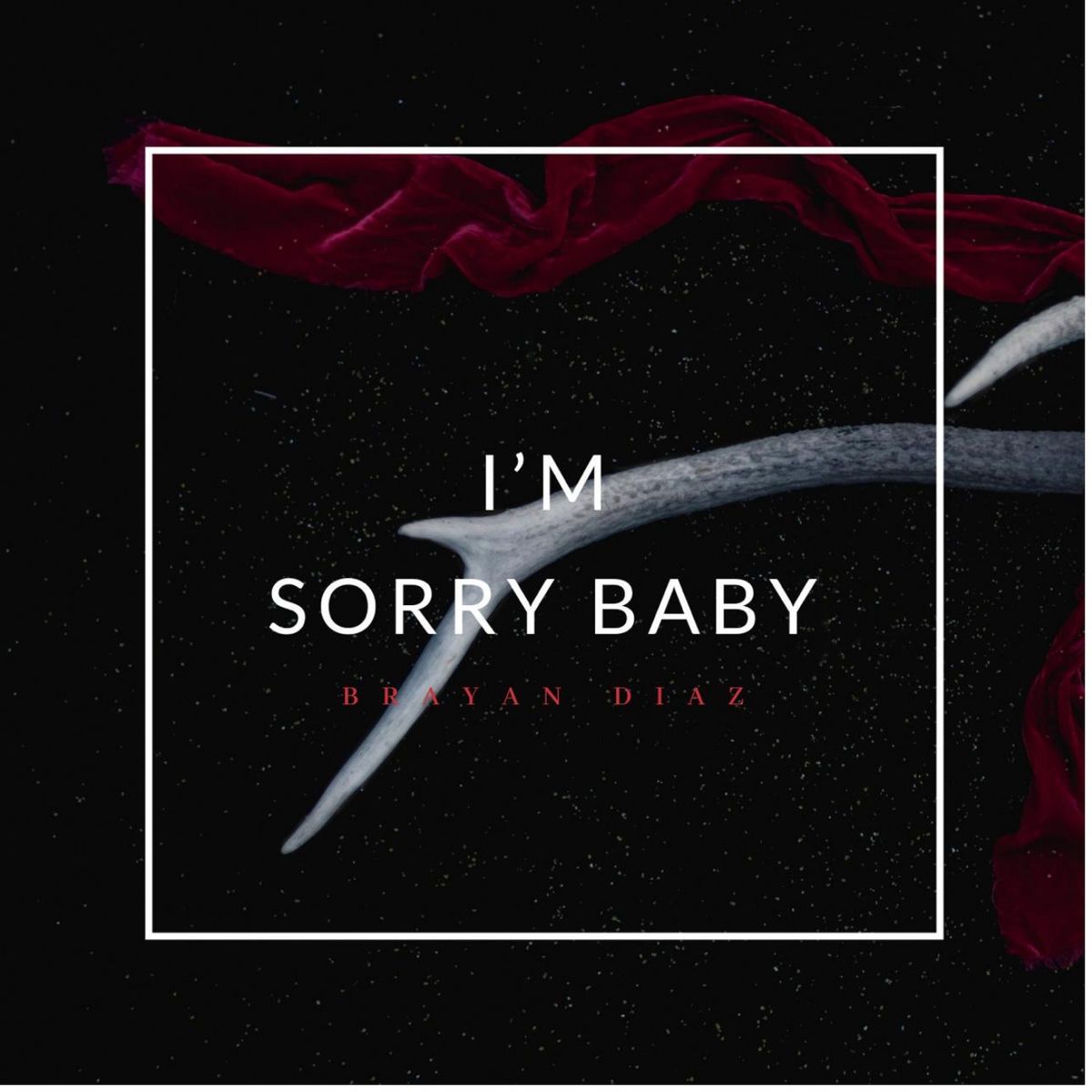 1200x1200 I'm Sorry Baby
