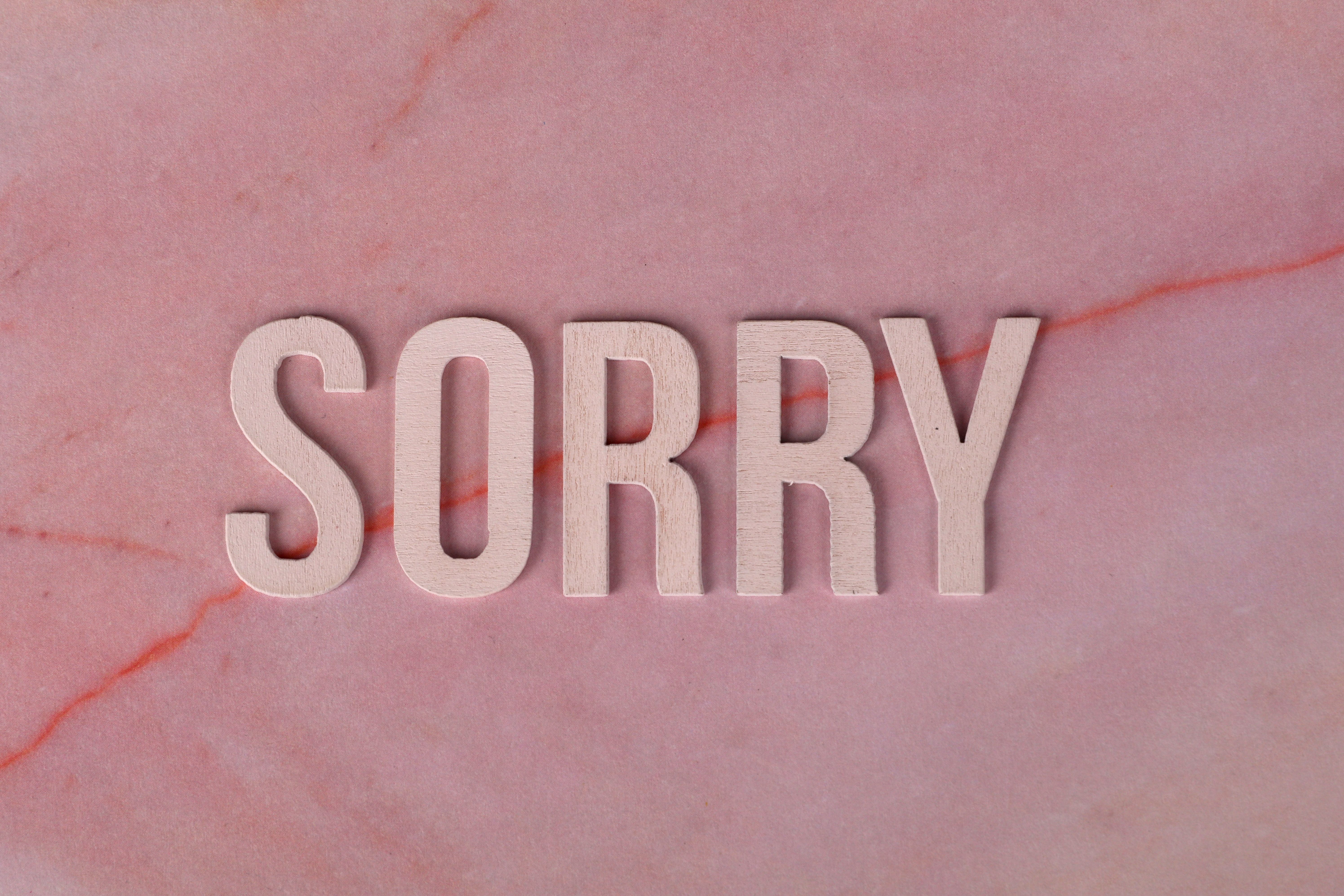 5982x3988 Sorry Photo, Download The BEST Free Sorry & HD Image