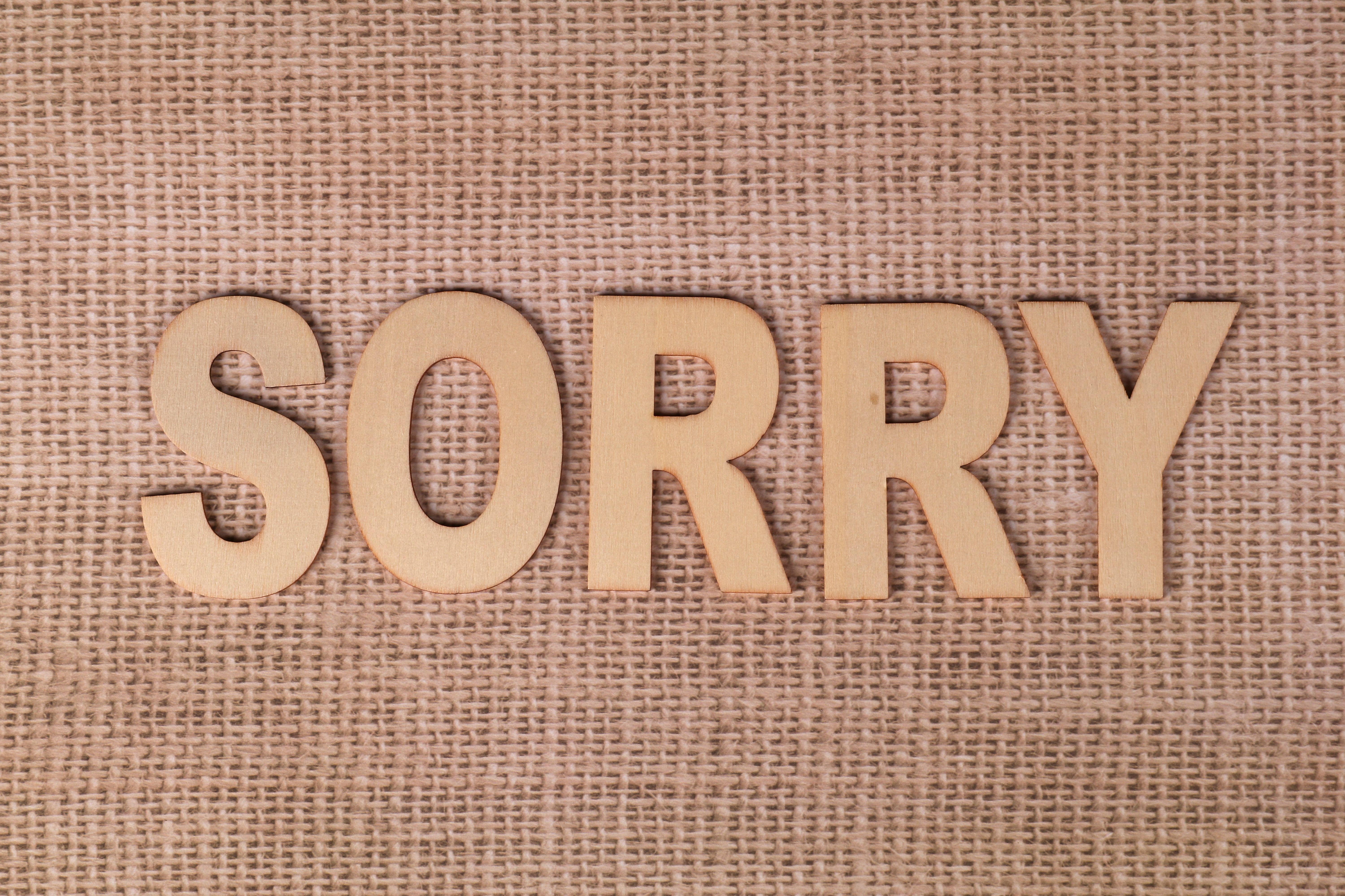 6000x4000 Sorry Photo, Download The BEST Free Sorry & HD Image