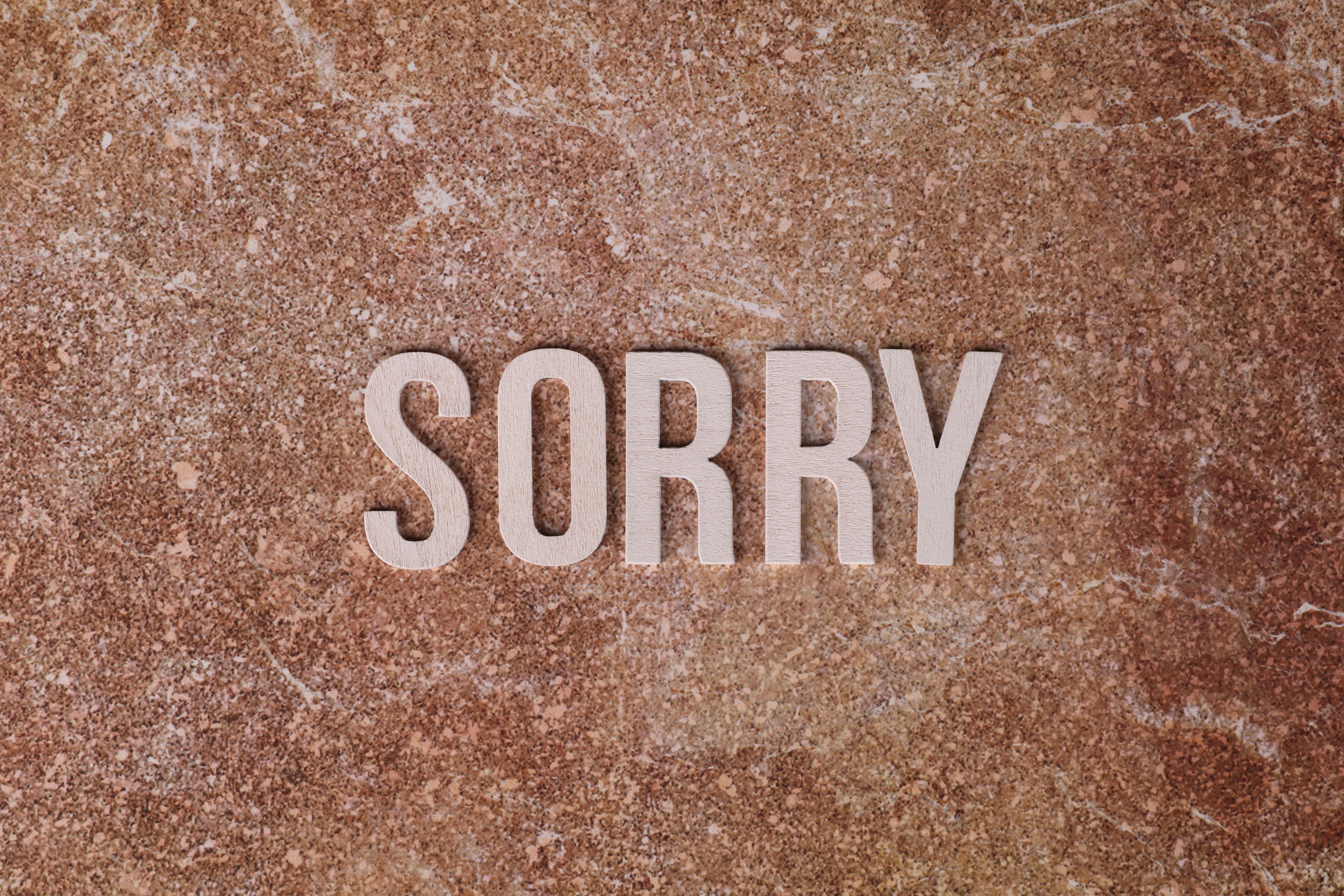 5890x3927 Sorry Photo, Download The BEST Free Sorry & HD Image