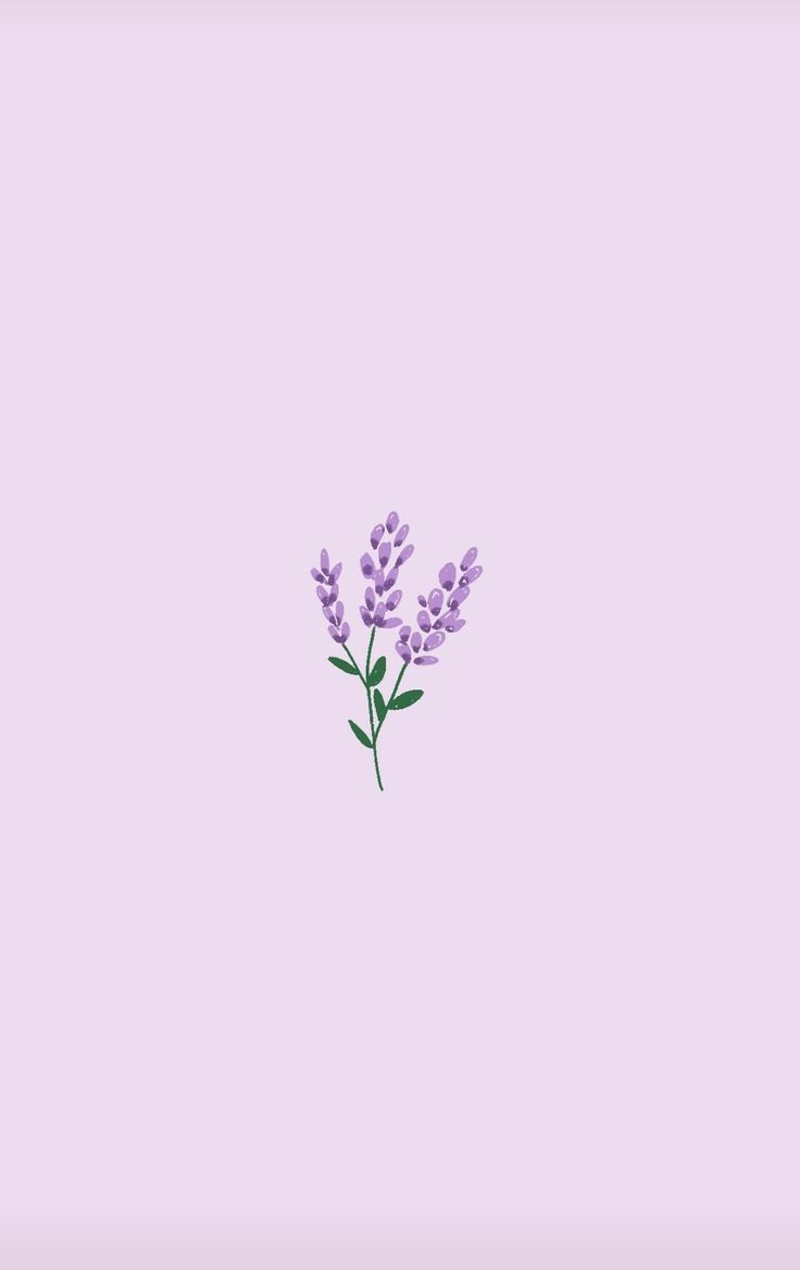 736x1168 aesthetic, basic and nature