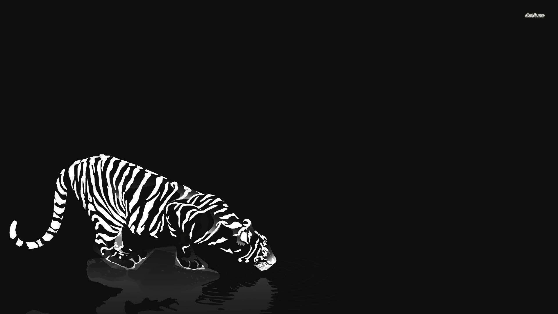1920x1080 Tiger Wallpaper Black And White