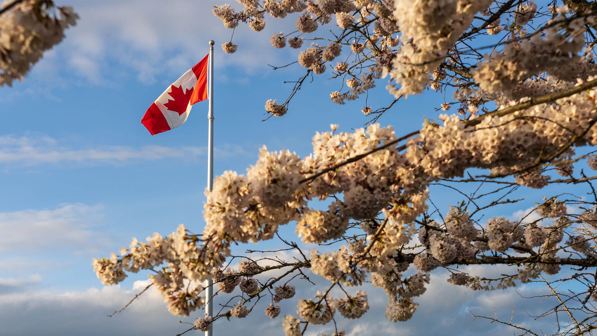 1920x1080 Federal Spring Economic Update 2026: Sticking to the Plan