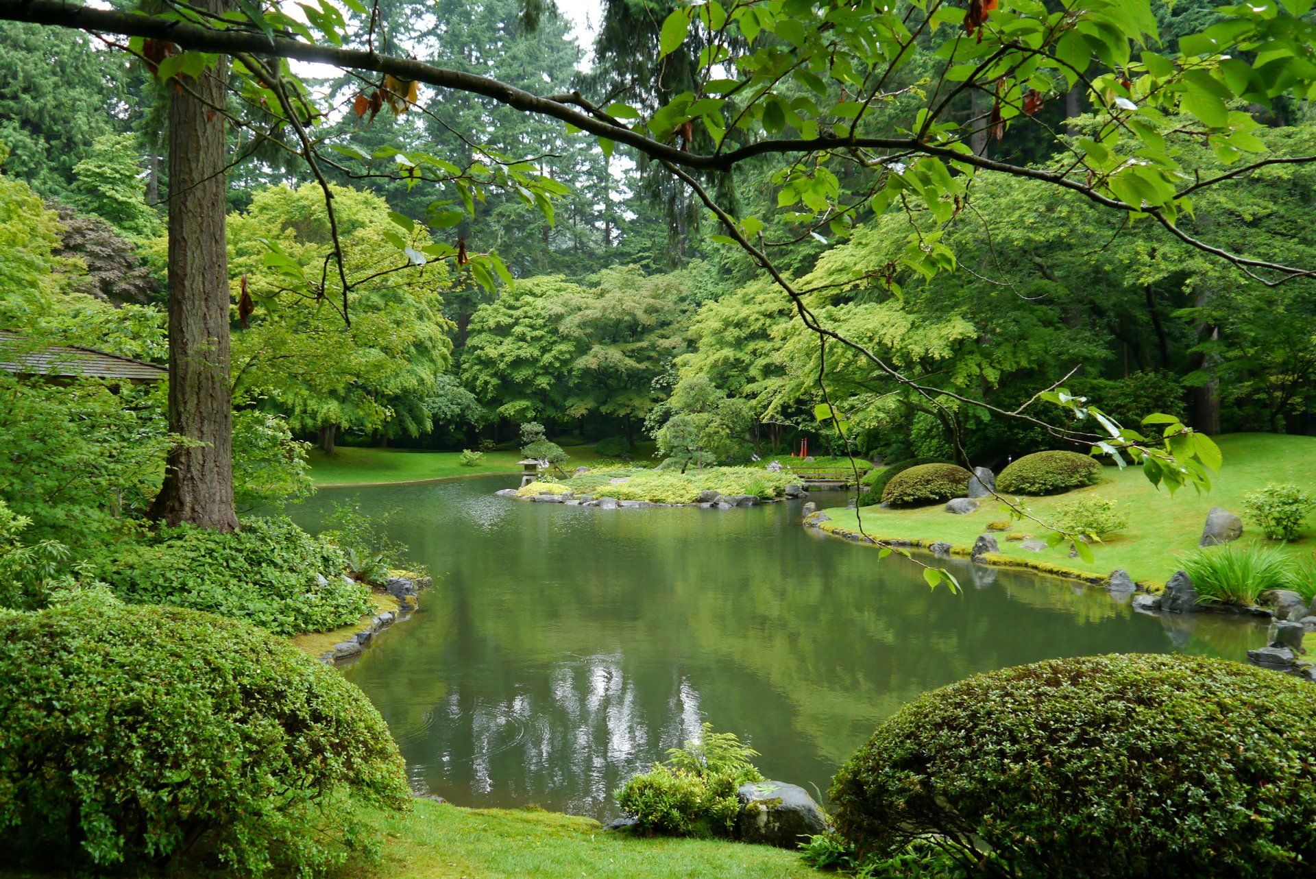 1920x1282 Serene Vancouver Park: HD Wallpaper of Greenery and Tranquil Pondx2003