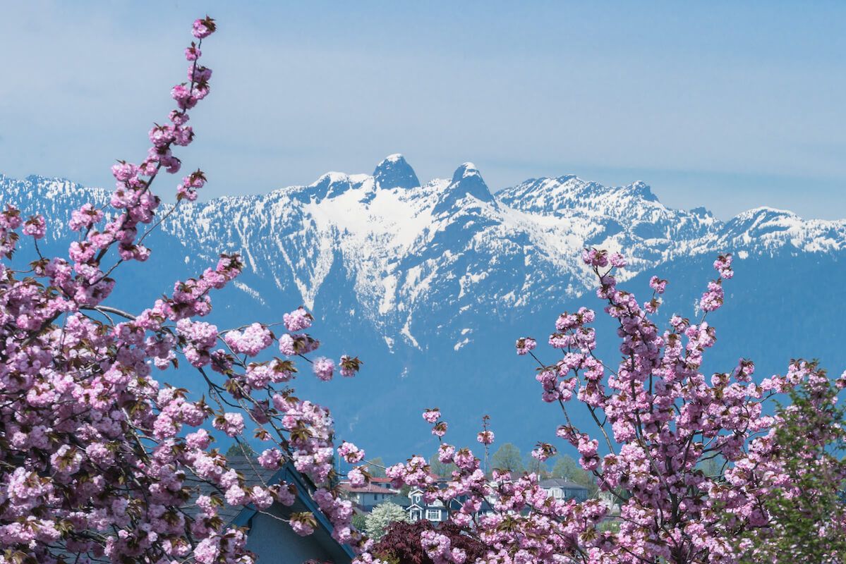 1199x800 Spring Activities in Canada Perfect for Seniors