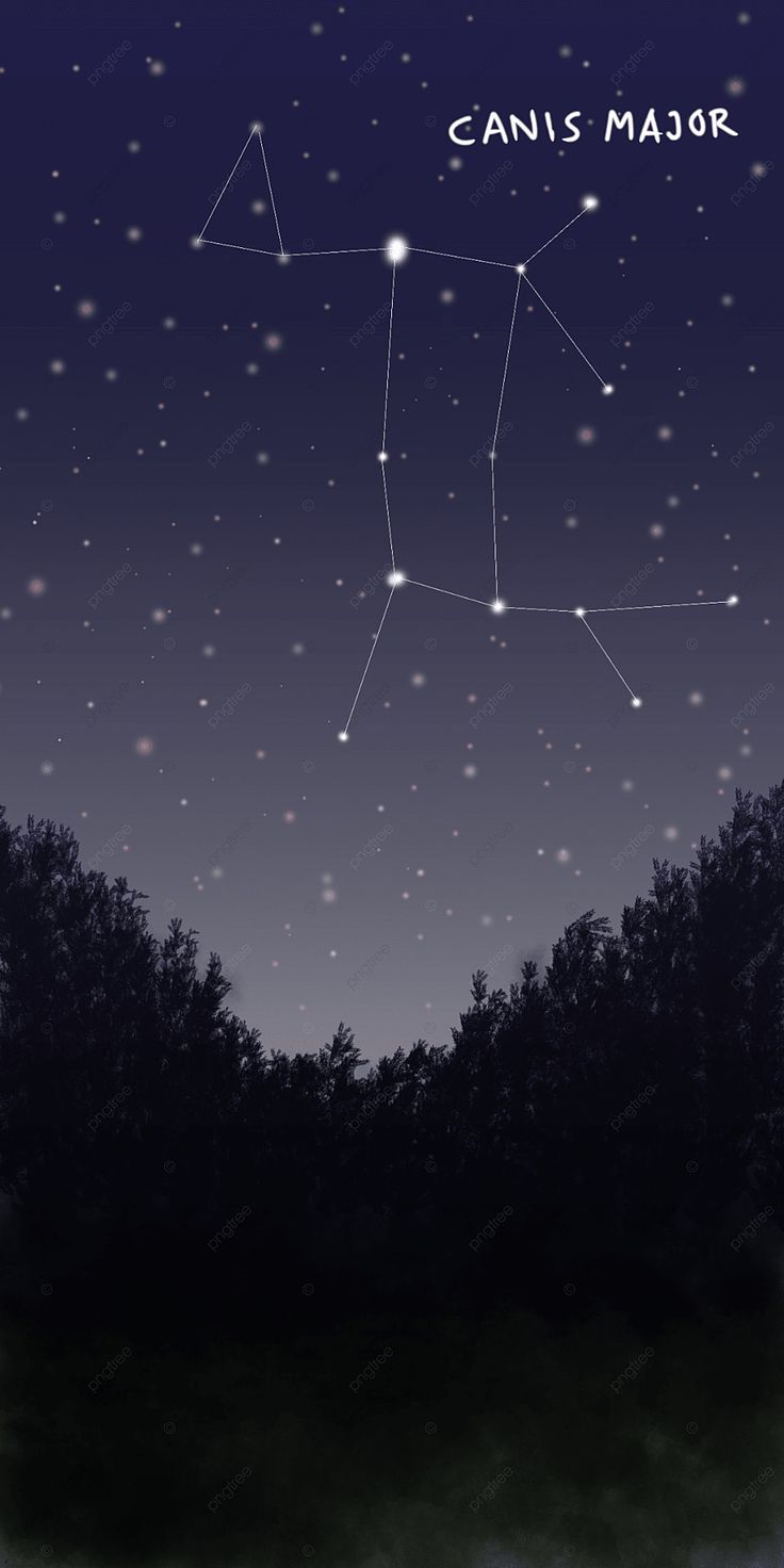 736x1472 Canis Major Constellation Background Wallpaper Image For Free Download
