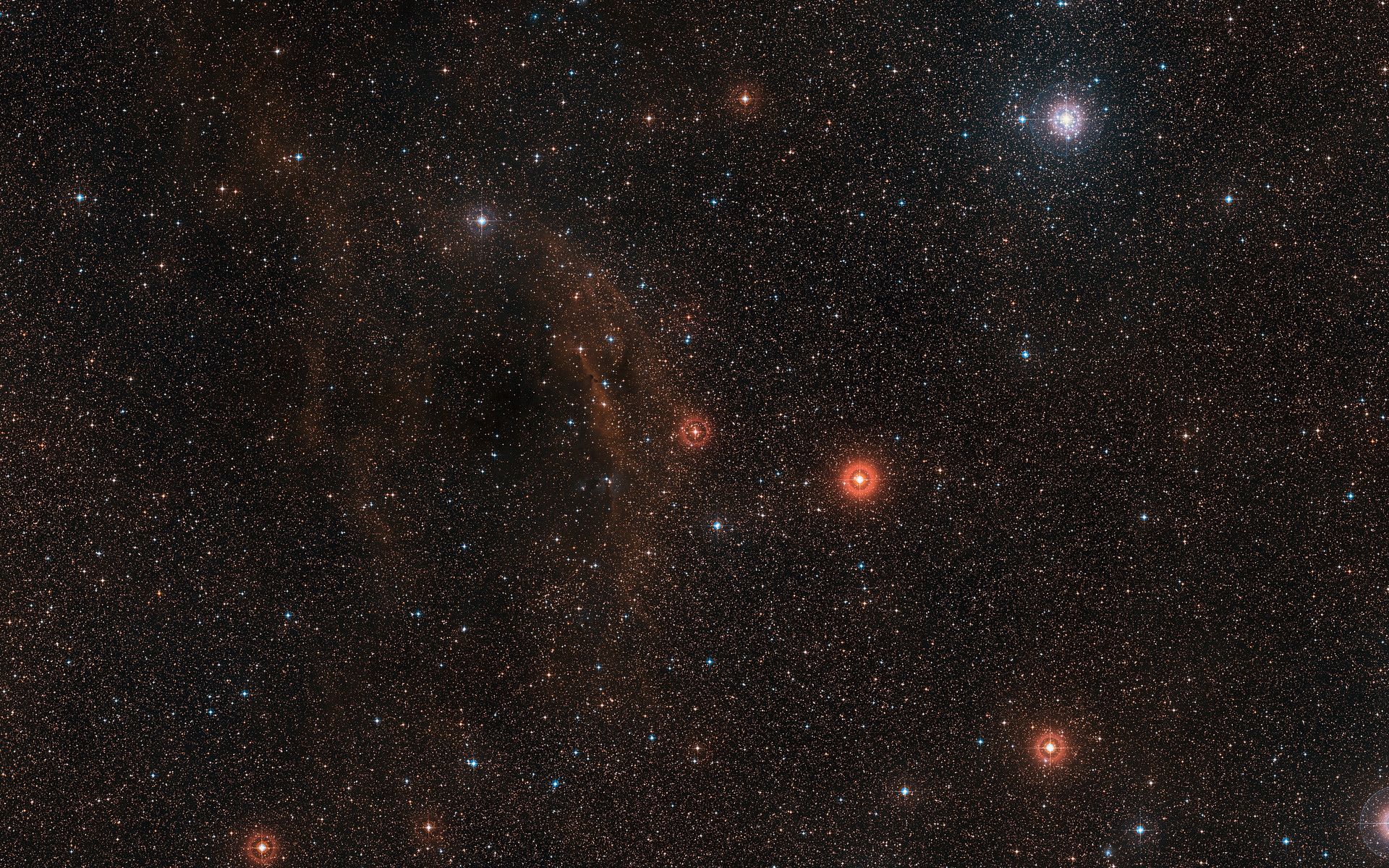 1920x1200 Wide Field View Of The Sky Around VY Canis Majoris