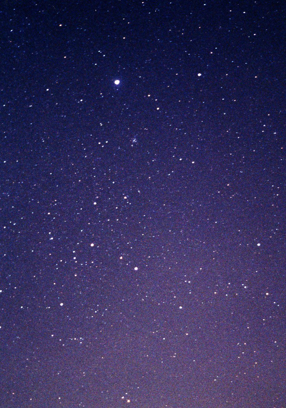 915x1305 Canis Major