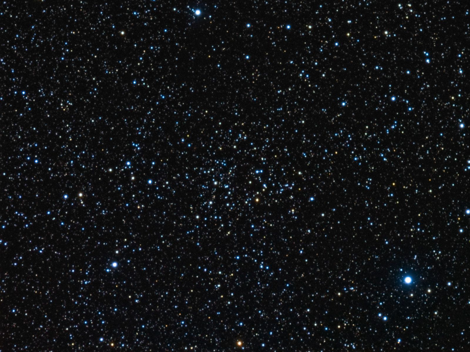 1600x1200 NGC 2354 in Canis Major