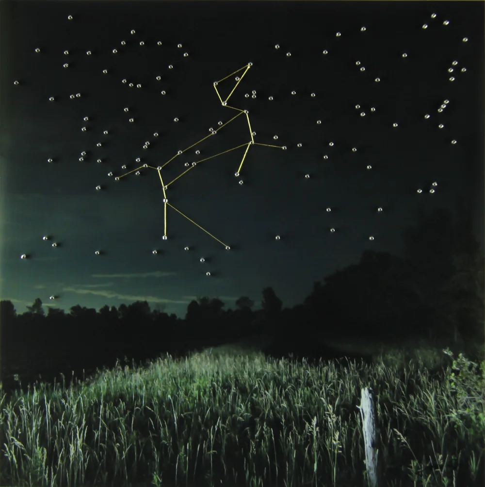 1000x1003 Canis Major