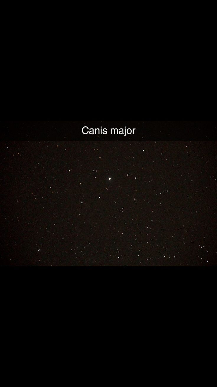 735x1308 Canis major