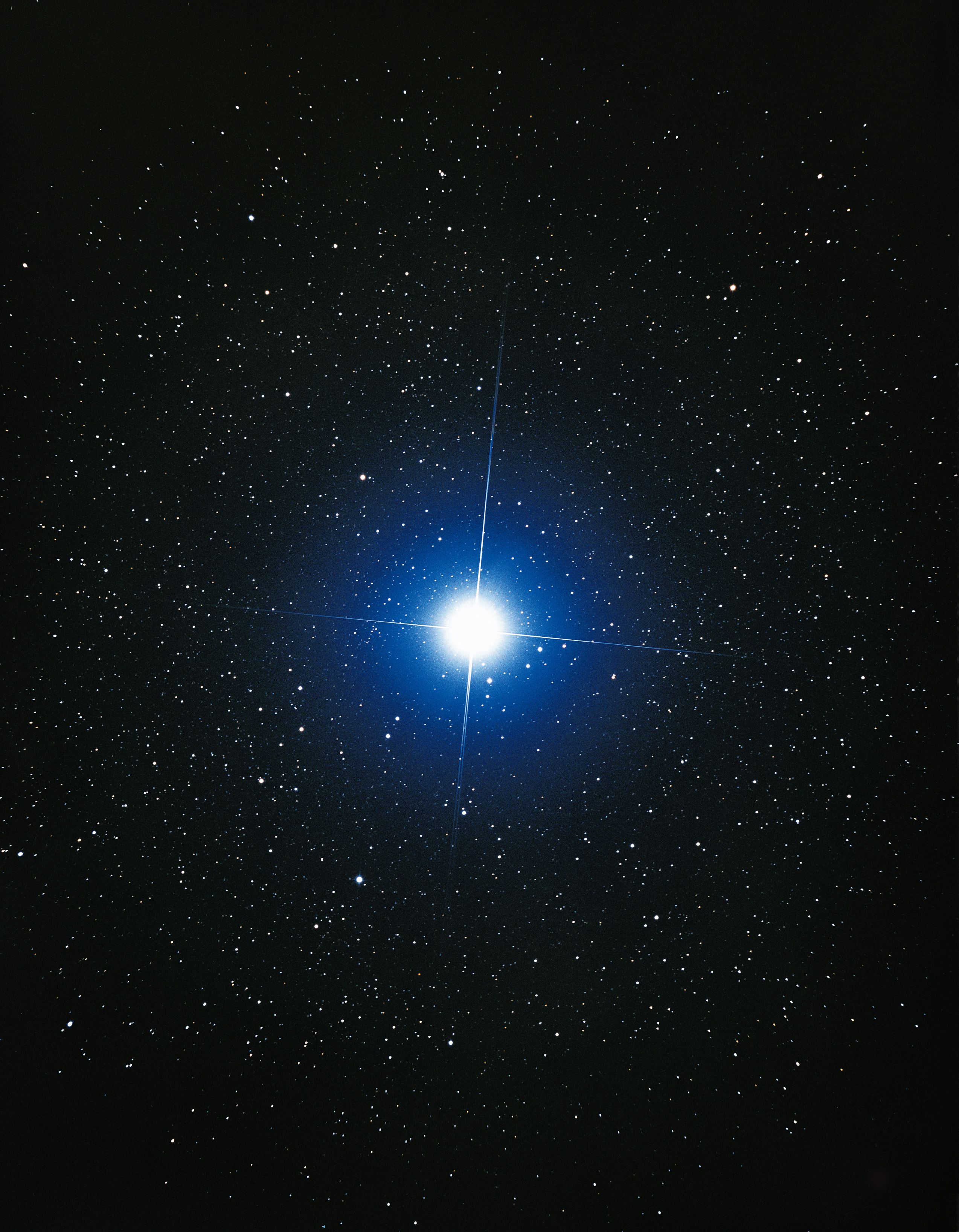 2547x3272 Sirius, the Dog Star, Sits Glitteringly in the Night Sky This Week