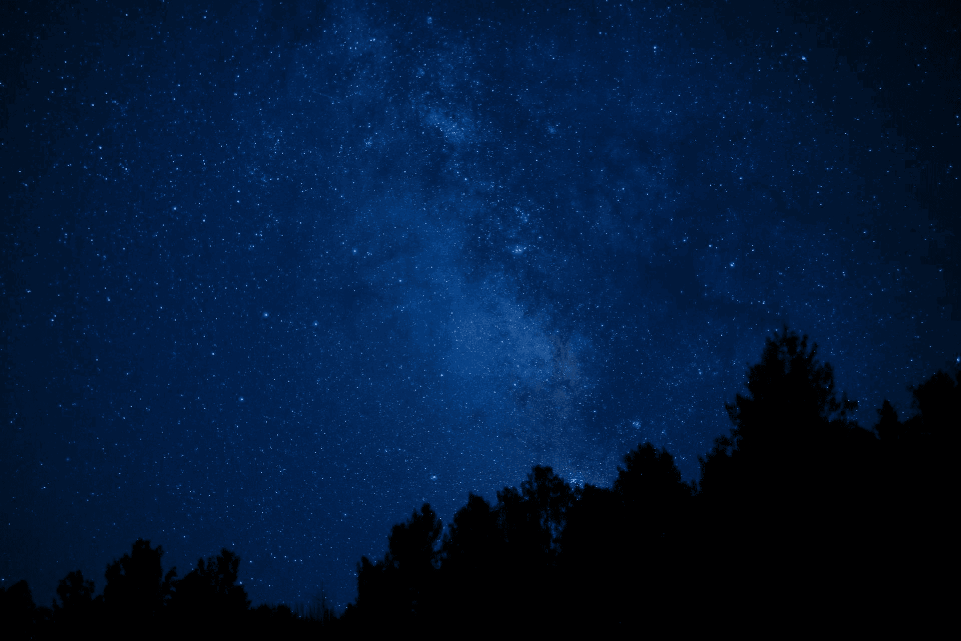 1920x1280 Canis Major Company Search & Talent Advisory in Asia