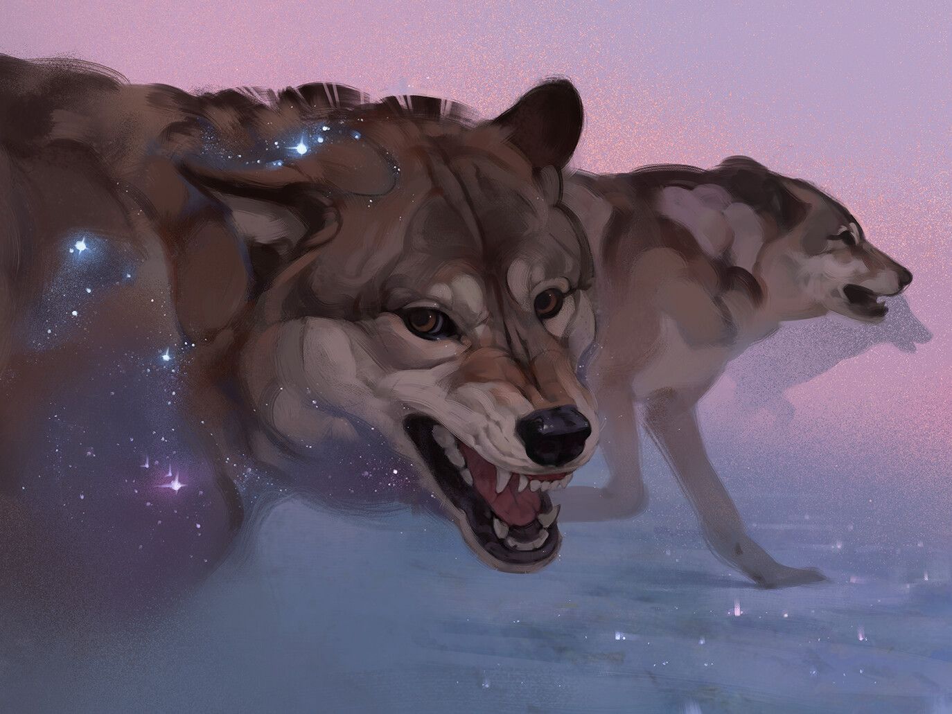 1374x1031 Canis major