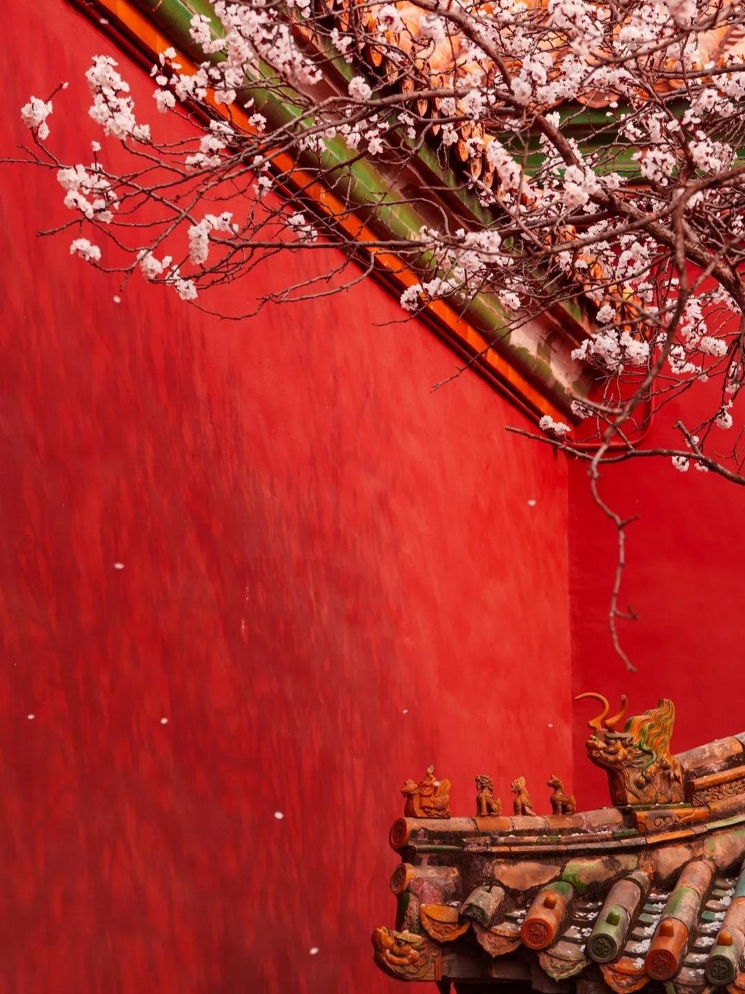 1080x1440 Your Spring Wallpaper, Exclusively Brought To You By The Palace Museum! This Wave Of Chinese Style Romance Is Stunningly Beautiful. Trip.com Beijing
