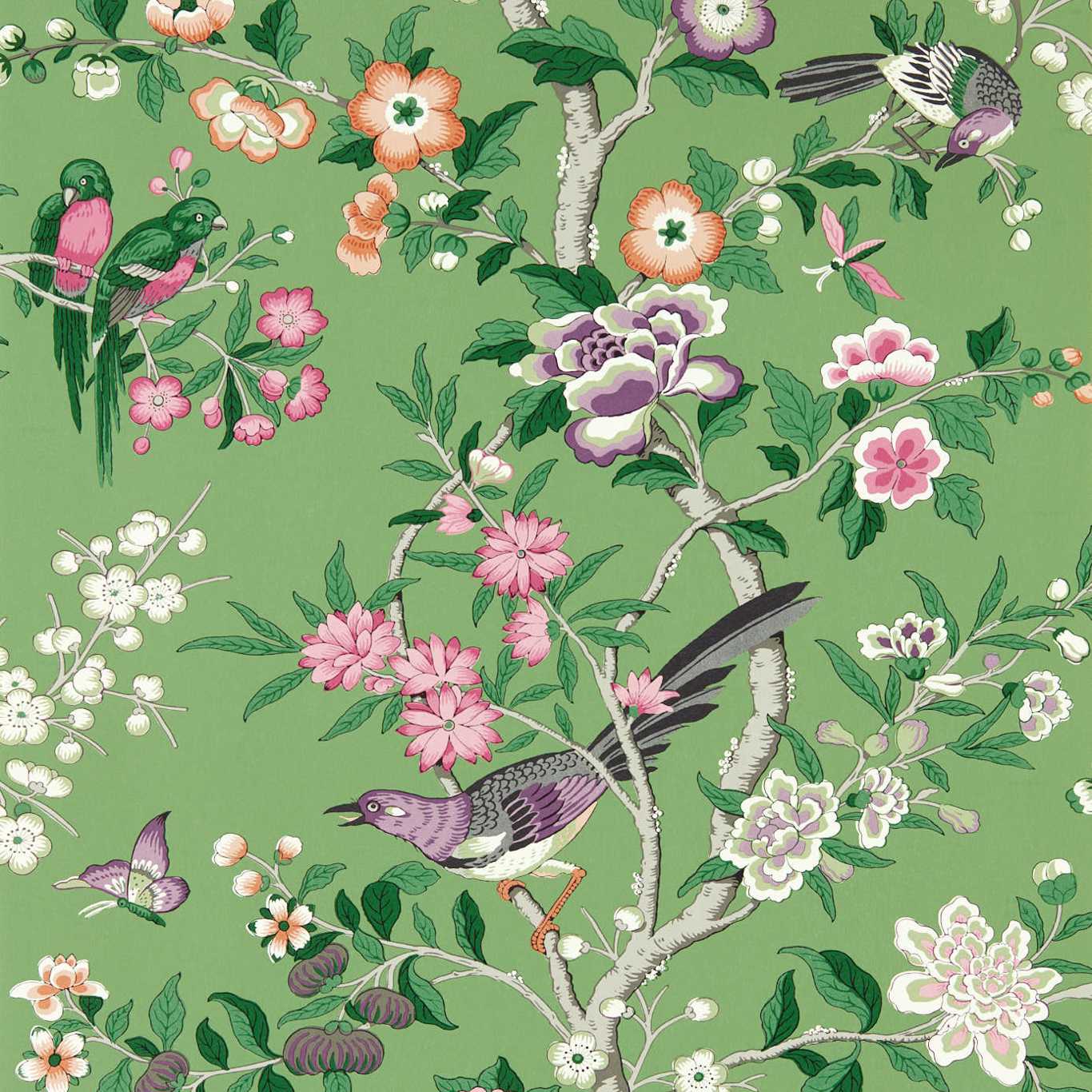 1366x1366 Chinoiserie Hall Chinese Green Lotus Pink Wallpaper