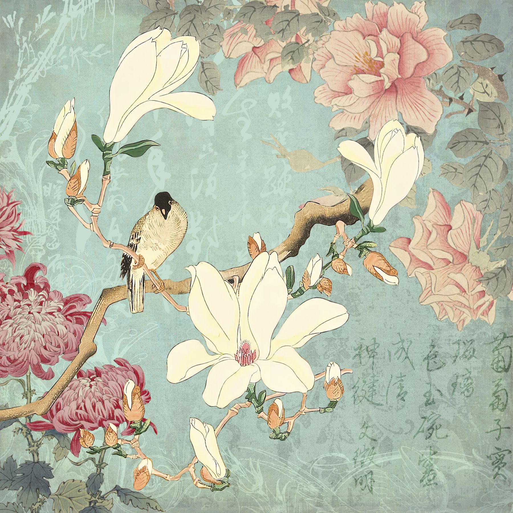 1800x1800 Chinese Magnolia Wallpaper