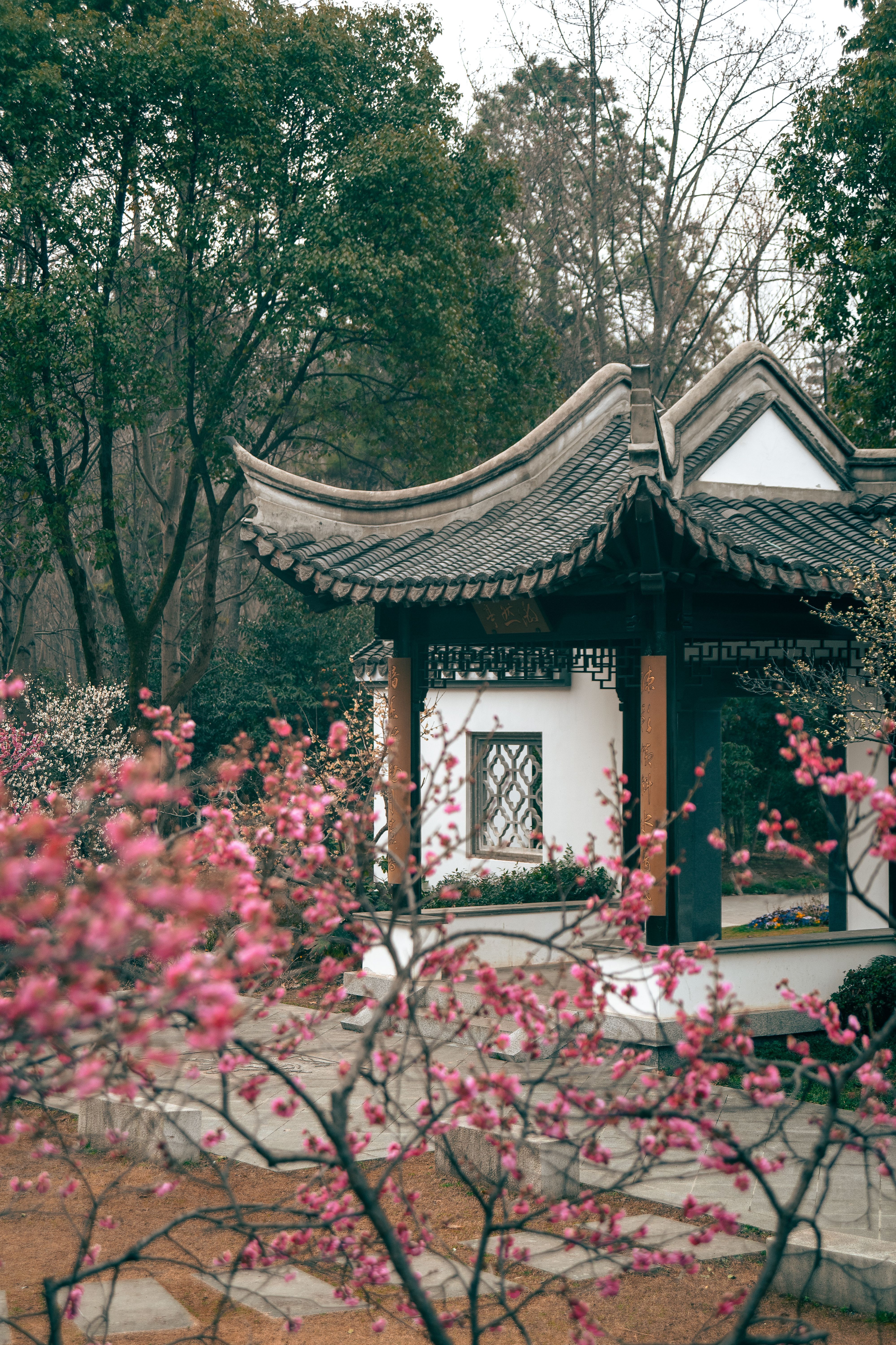 3997x5995 Chinese Garden Photo, Download The BEST Free Chinese Garden & HD Image