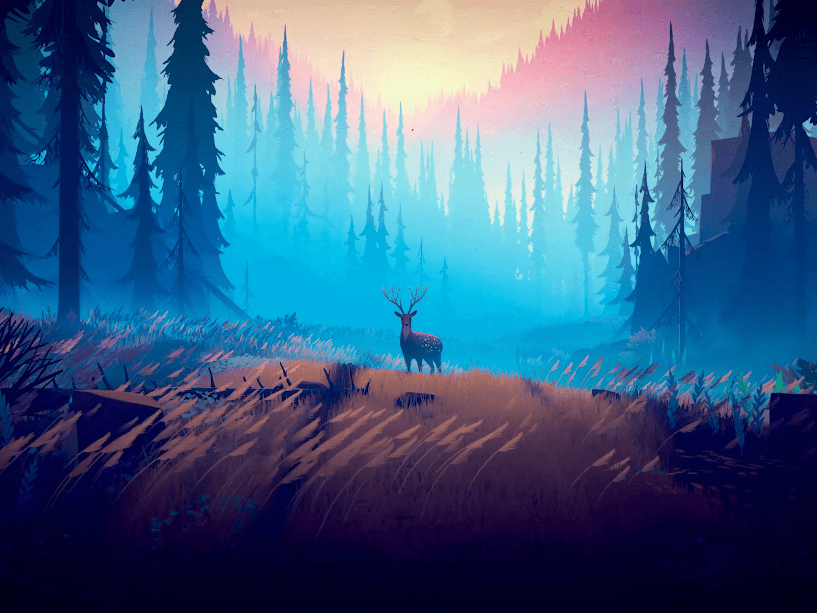 1600x1200 Mikael Gustafsson