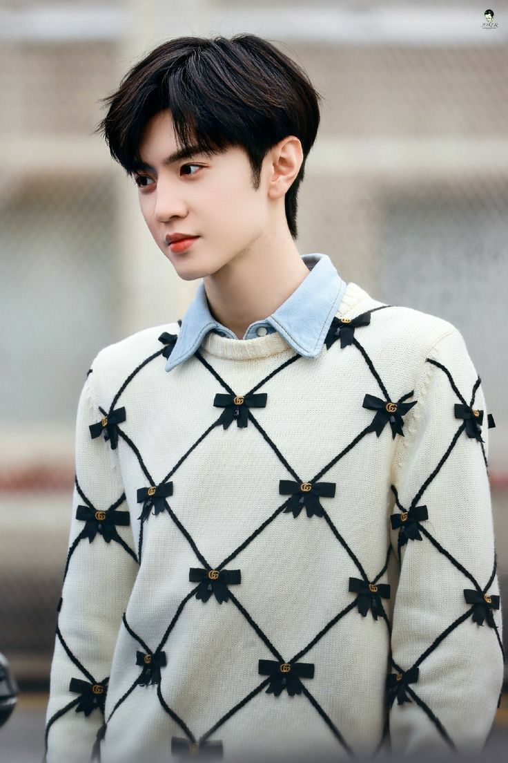 736x1104 only for 陈哲远（Chen Zhe Yuan photo album)