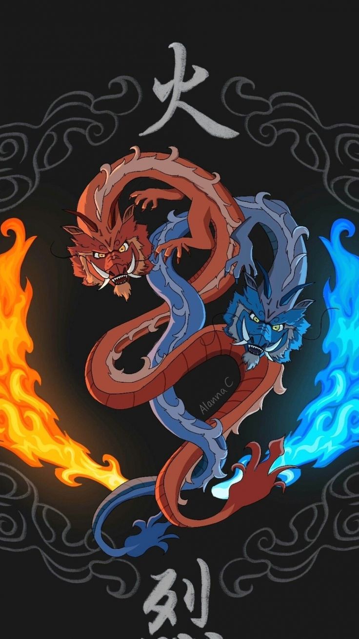 736x1308 Fire nation. Aang zuko dragon tattoo, Dragons from avatar, Avatar the last airbender wallpaper