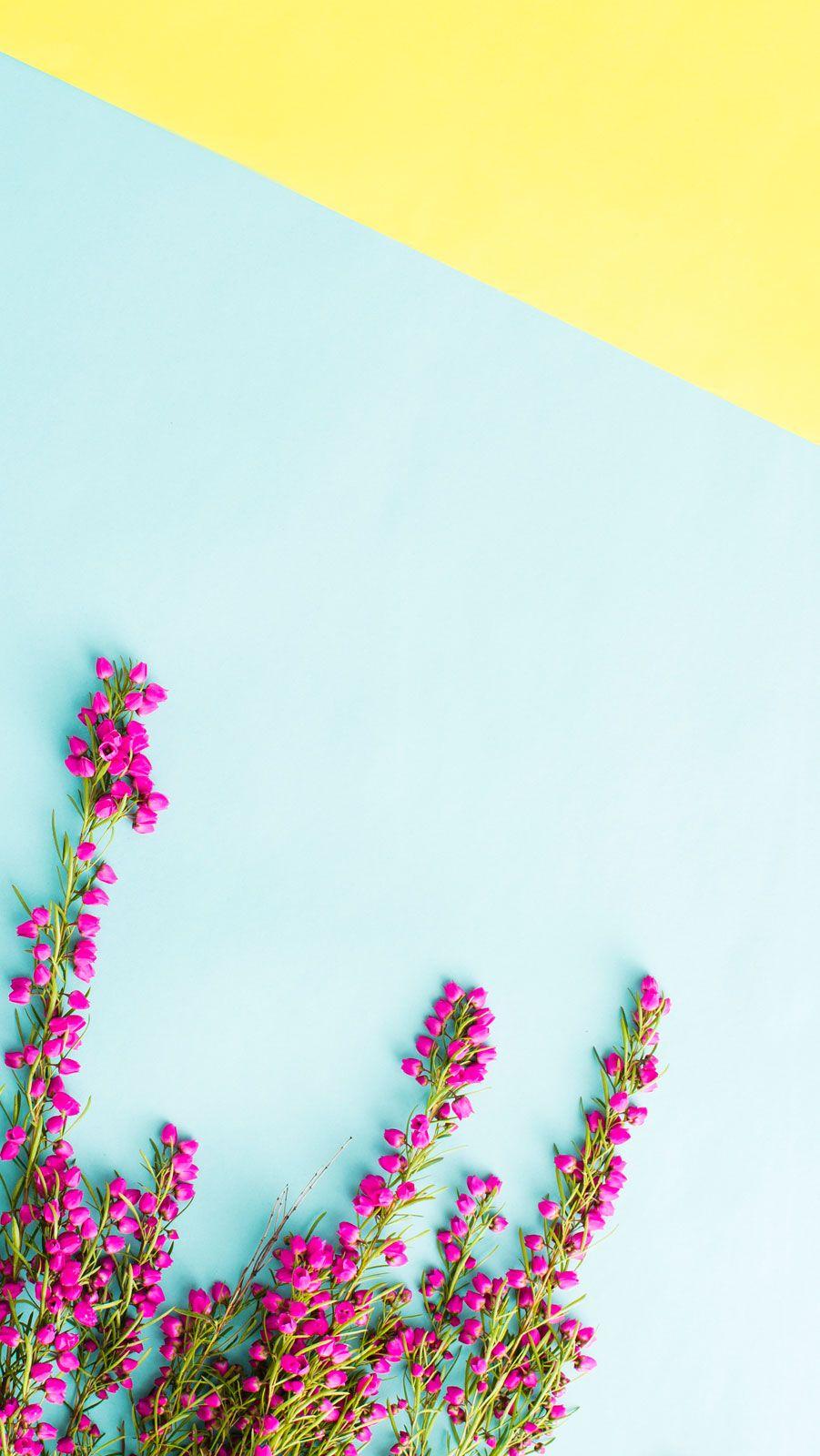 901x1600 iPhone Minimalist Flower Wallpaper