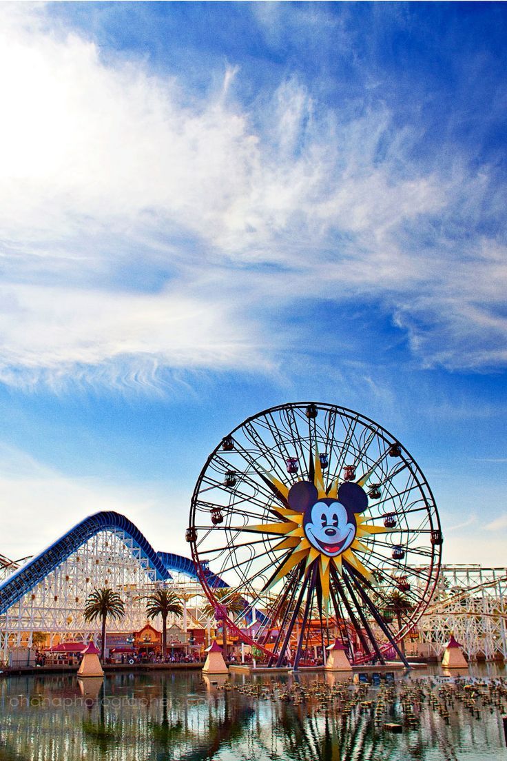 736x1104 California Adventure