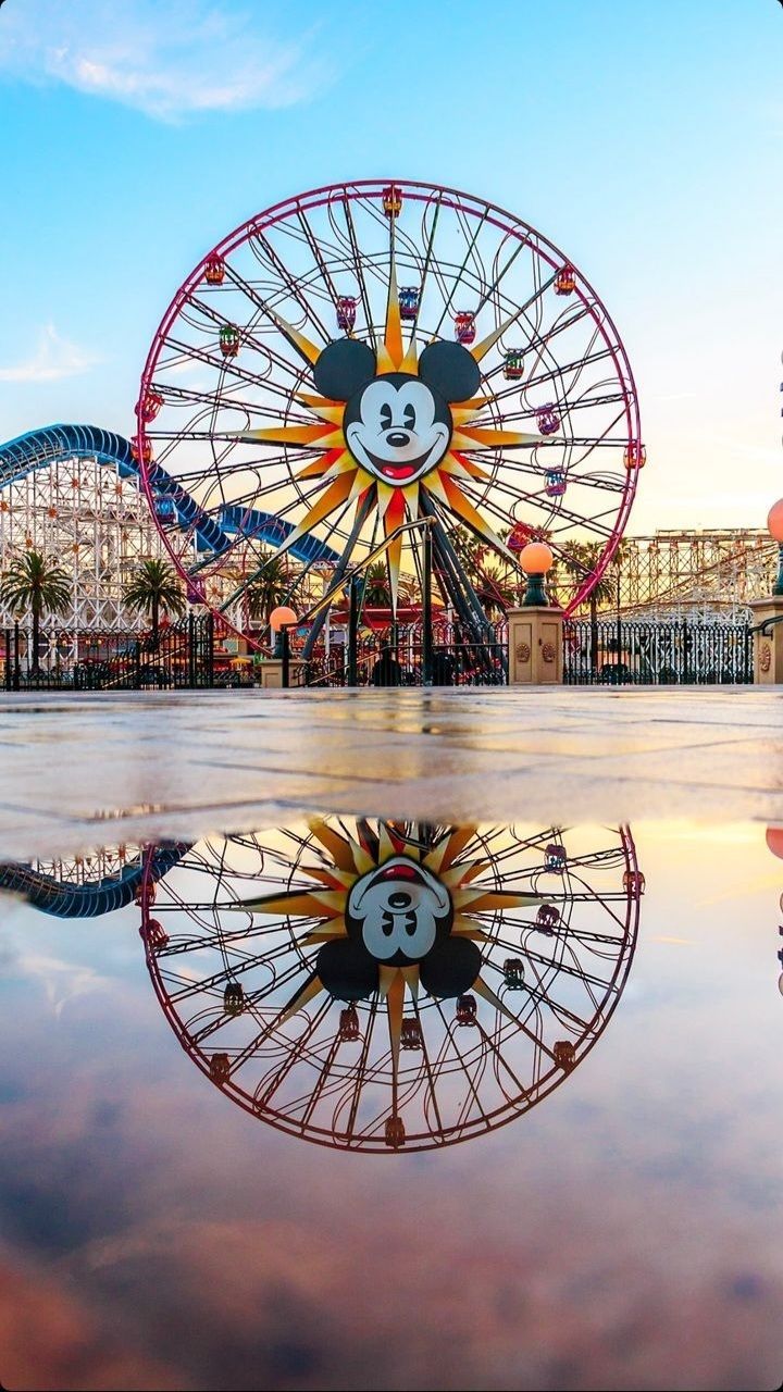 720x1280 California Adventure wallpaper Photo: on instagram