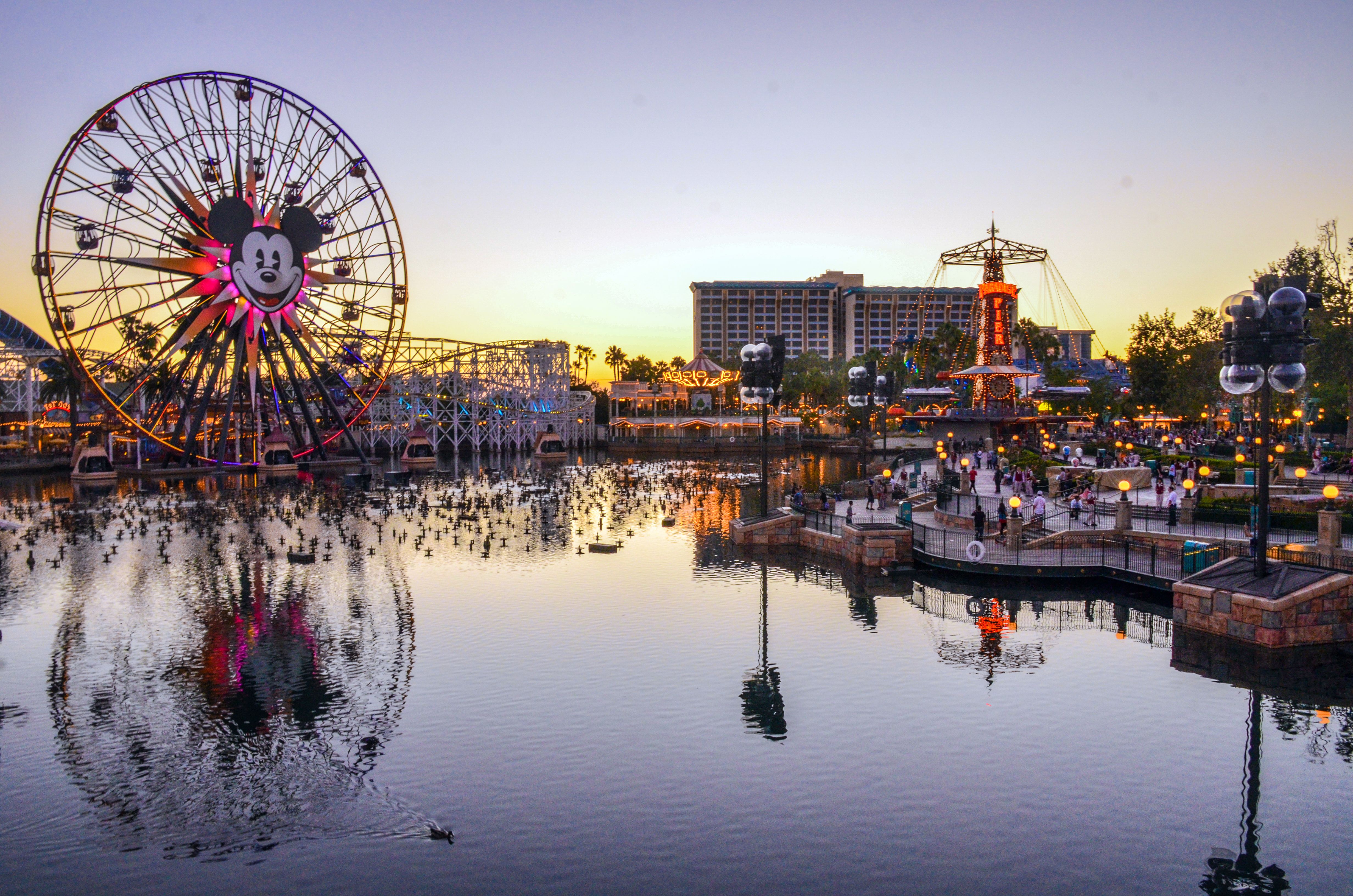 4928x3264 Must Do's For First Timers: Disney California Adventure In Disney