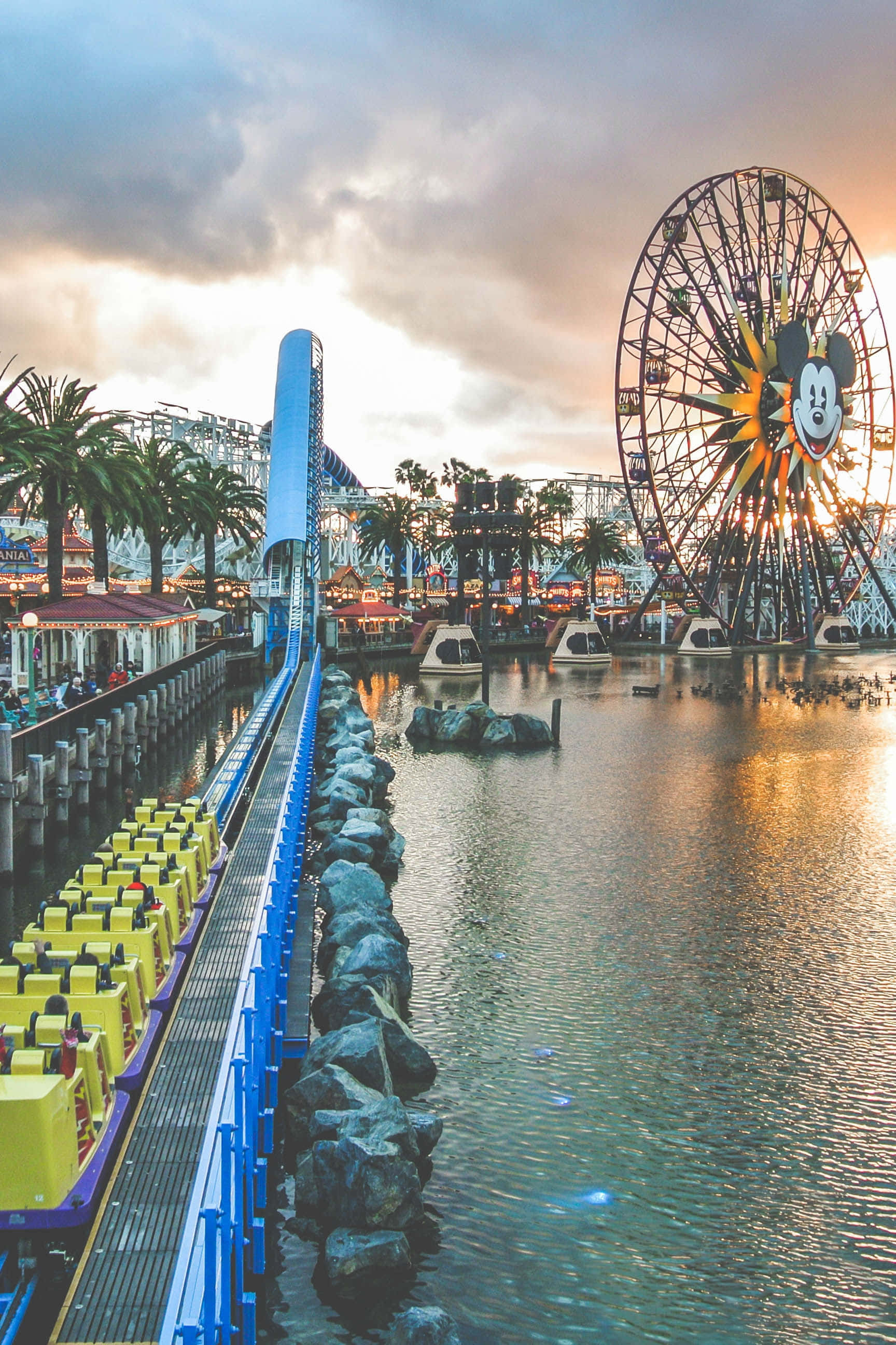 1728x2592 Download Disney World California Adventure Park iPhone Wallpaper