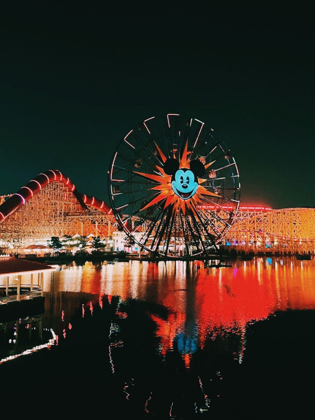 1206x1608 Disney California Adventure