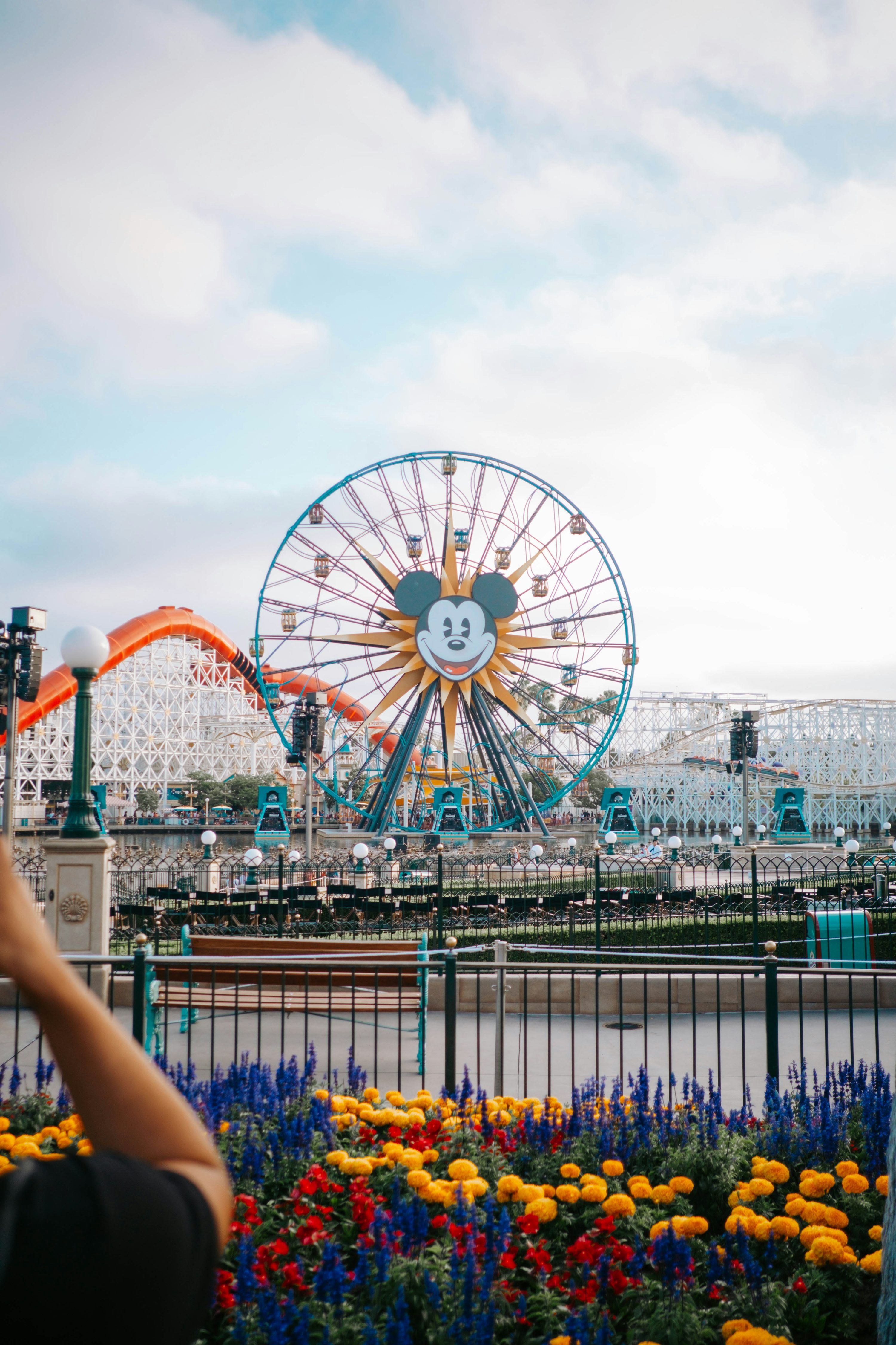 3000x4500 A ferris wheel with flowers in front of it