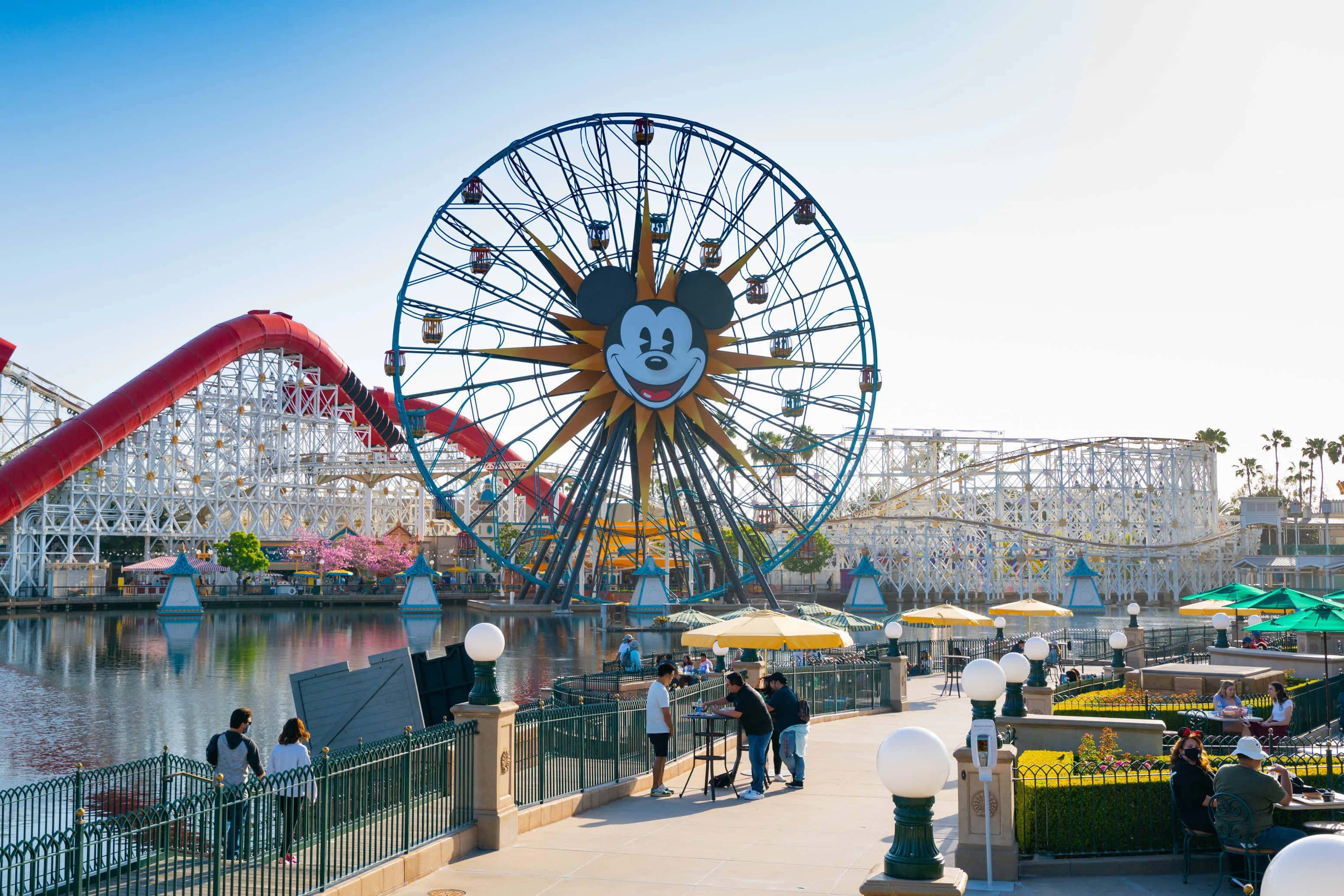3100x2068 Download Disneyland California Adventure Park Ferris Wheel Wallpaper