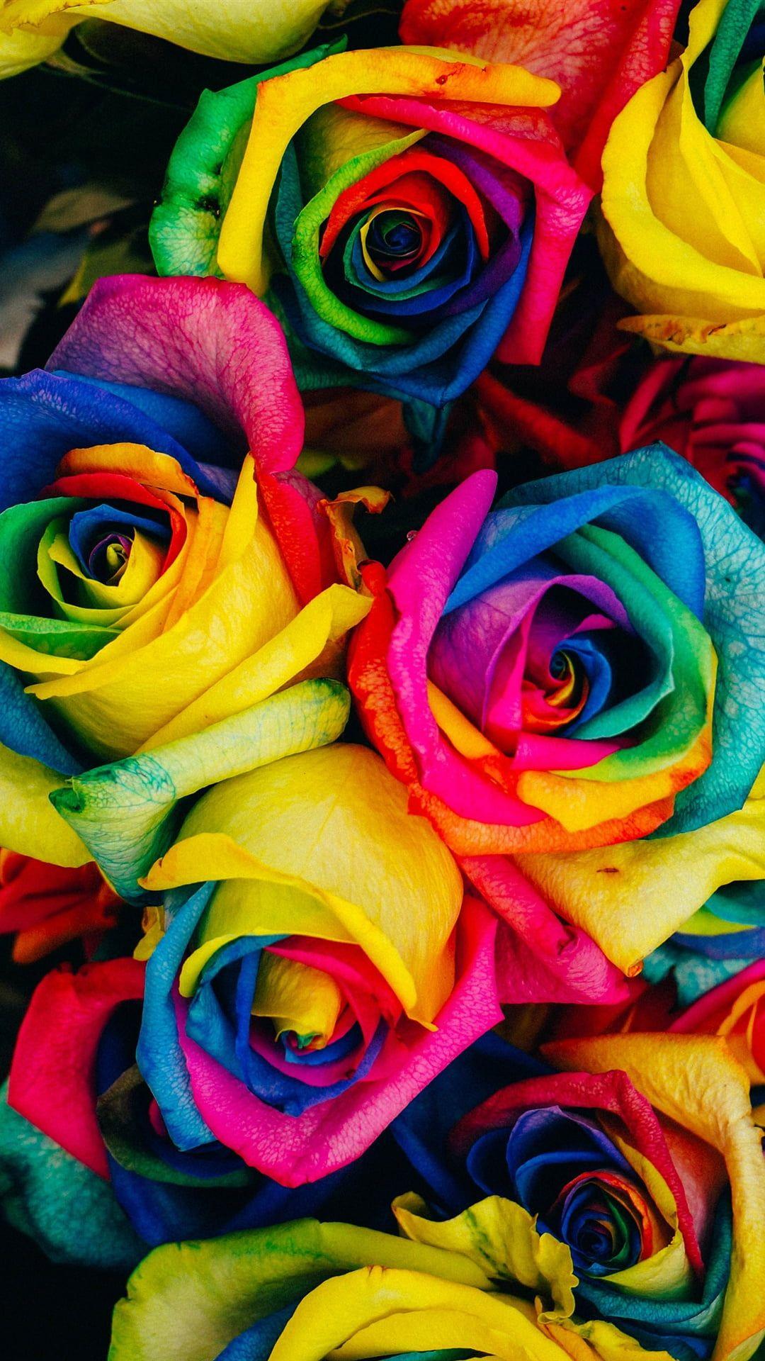 Rainbow Flower iPhone Wallpapers - Top Free Rainbow Flower iPhone ...