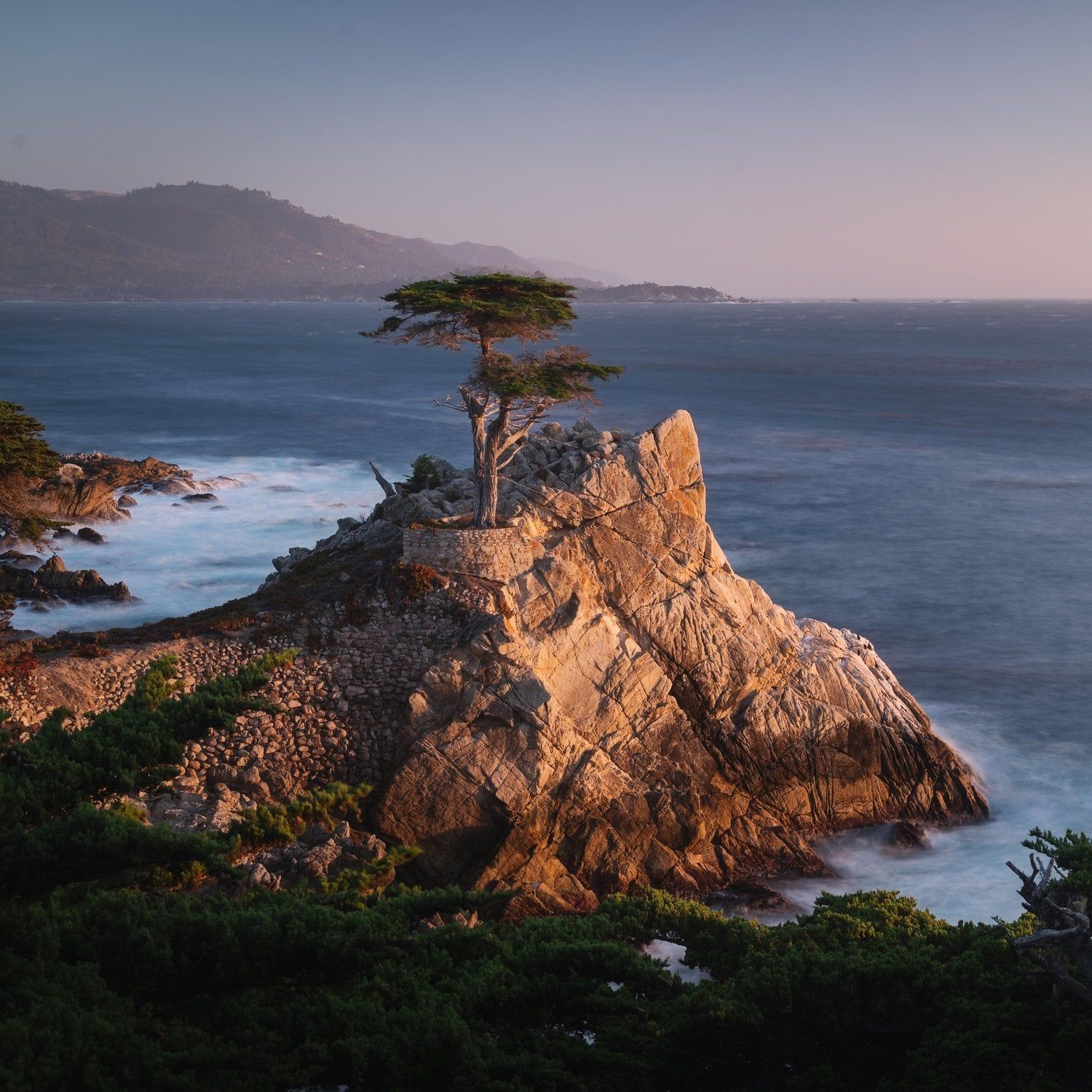 1500x1500 Apple's MacOS Monterey Broke A Decade Long Tradition Of Making Nature Themed Wallpaper