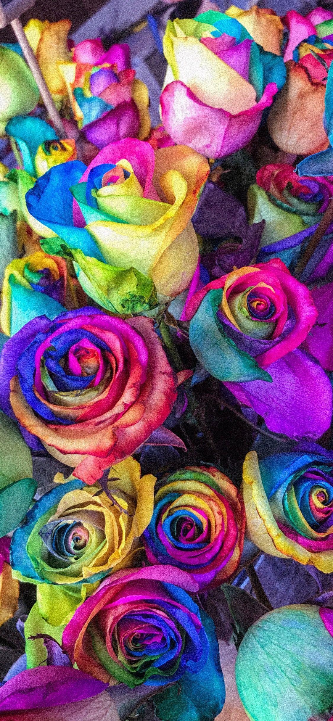 Rainbow Flower iPhone Wallpapers Top Free Rainbow Flower iPhone