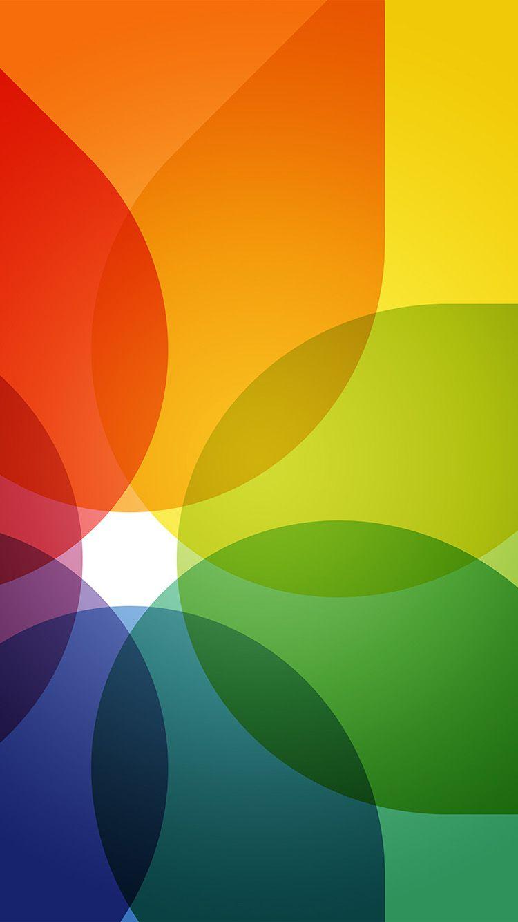 Rainbow Flower iPhone Wallpapers Top Free Rainbow Flower iPhone