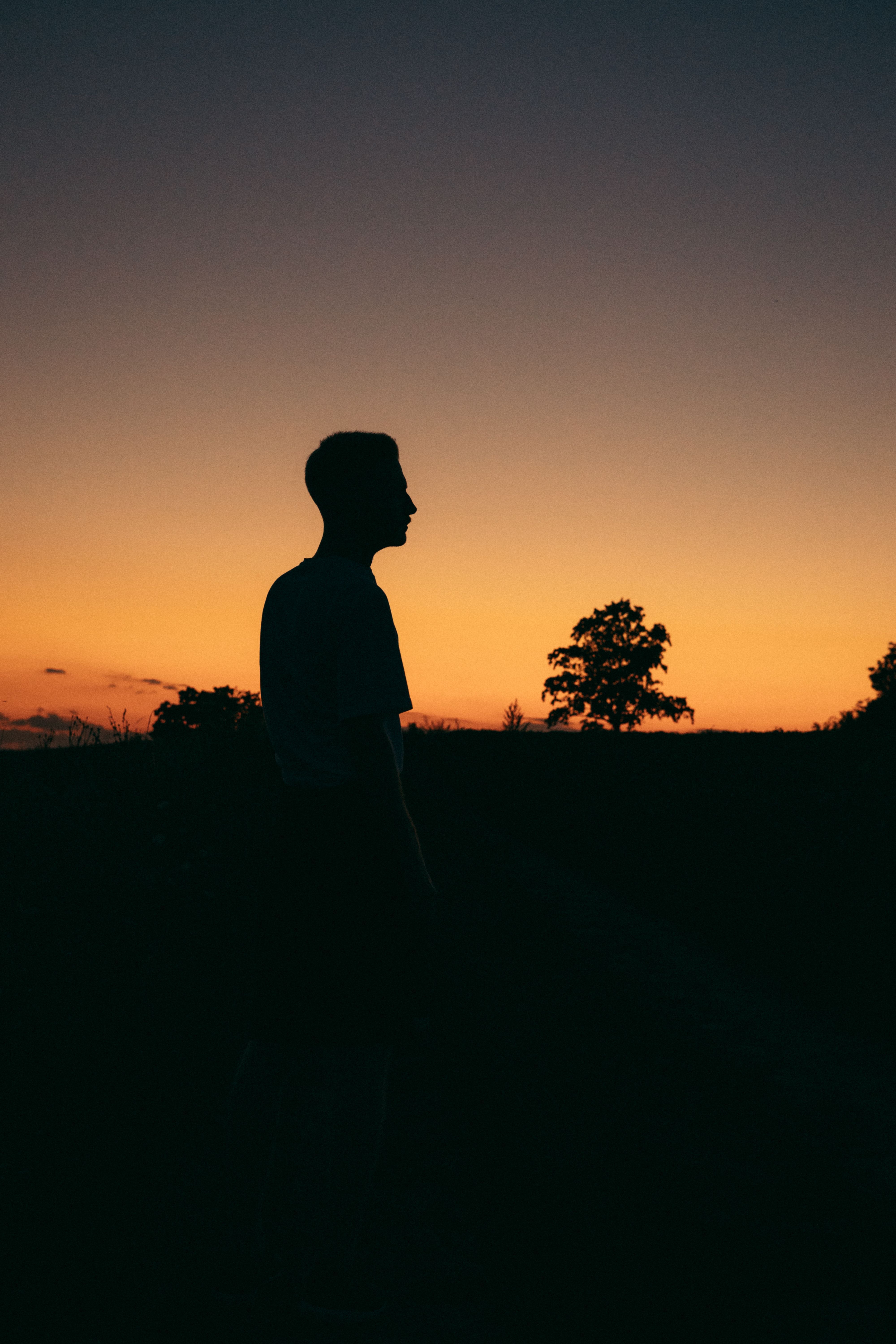 4000x6000 Silhouette of Tree and Man at Sunset · Free